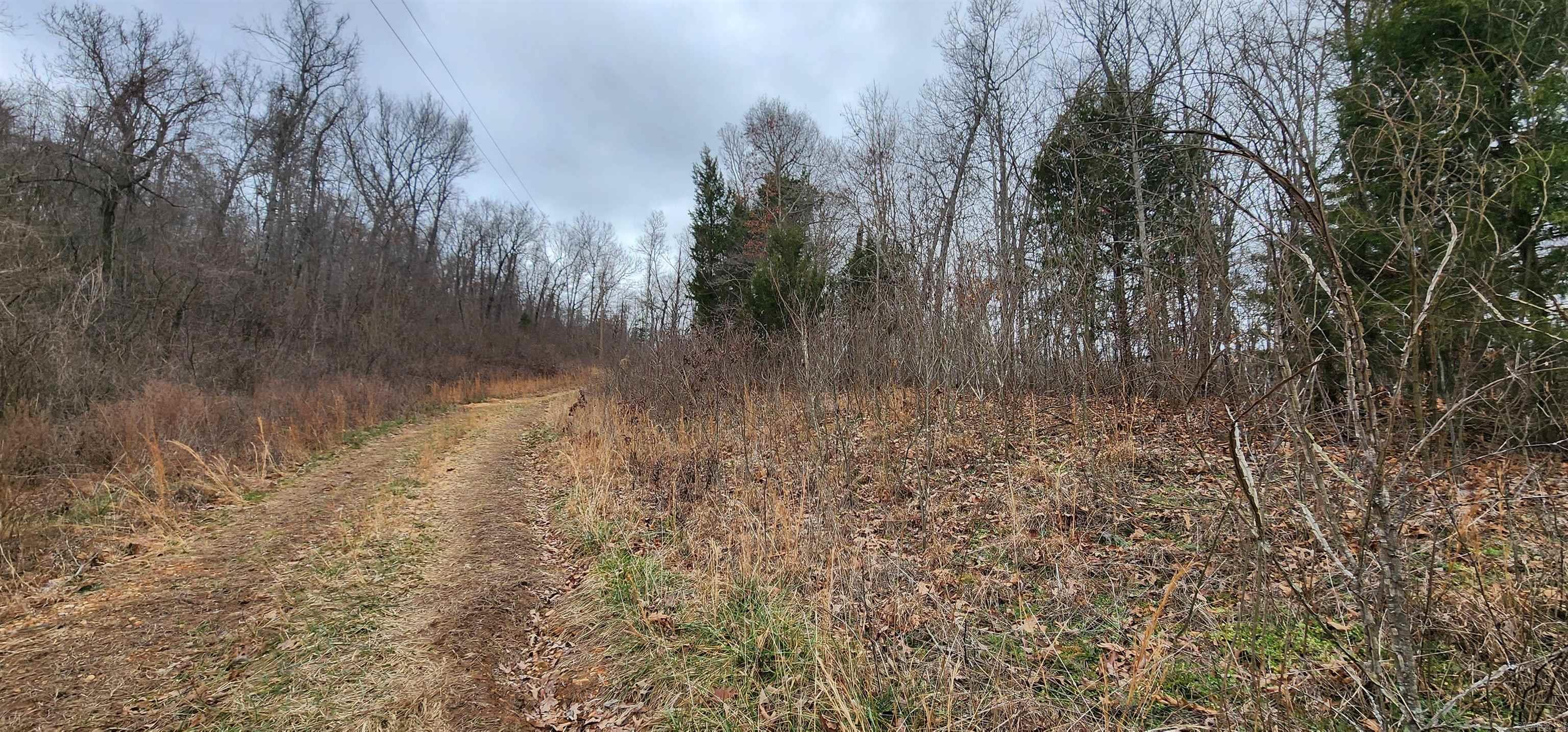 TBD SR 142  Green For., AR