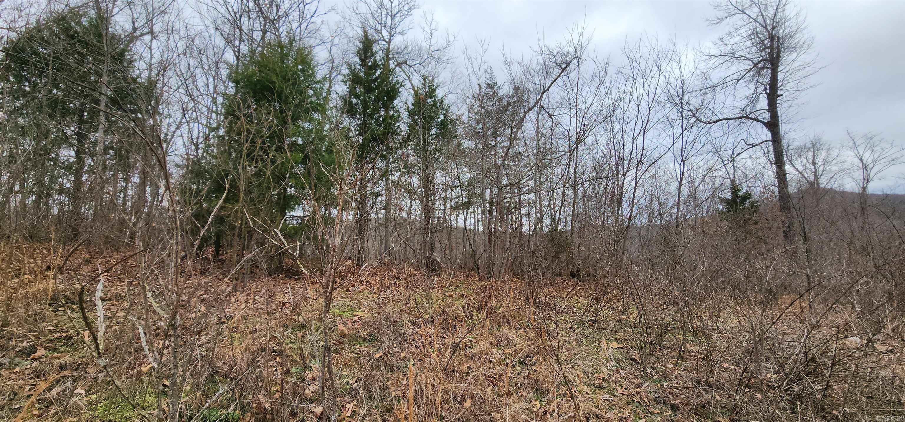 TBD SR 142  Green For., AR