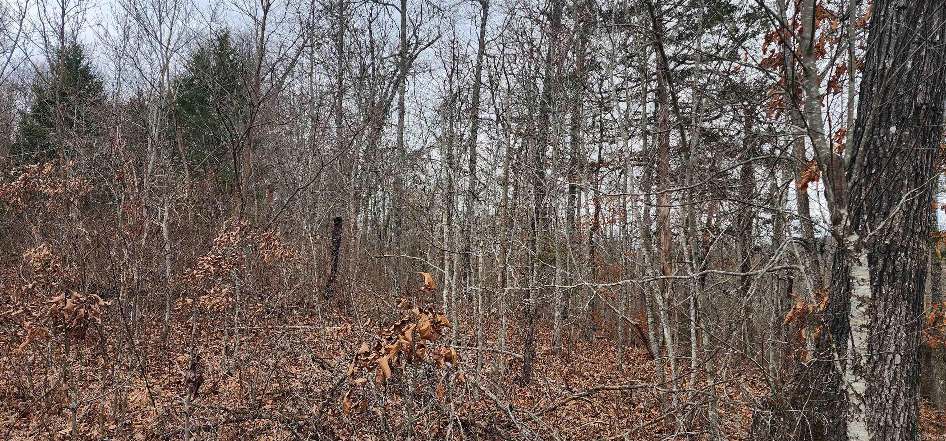 TBD SR 142  Green For., AR