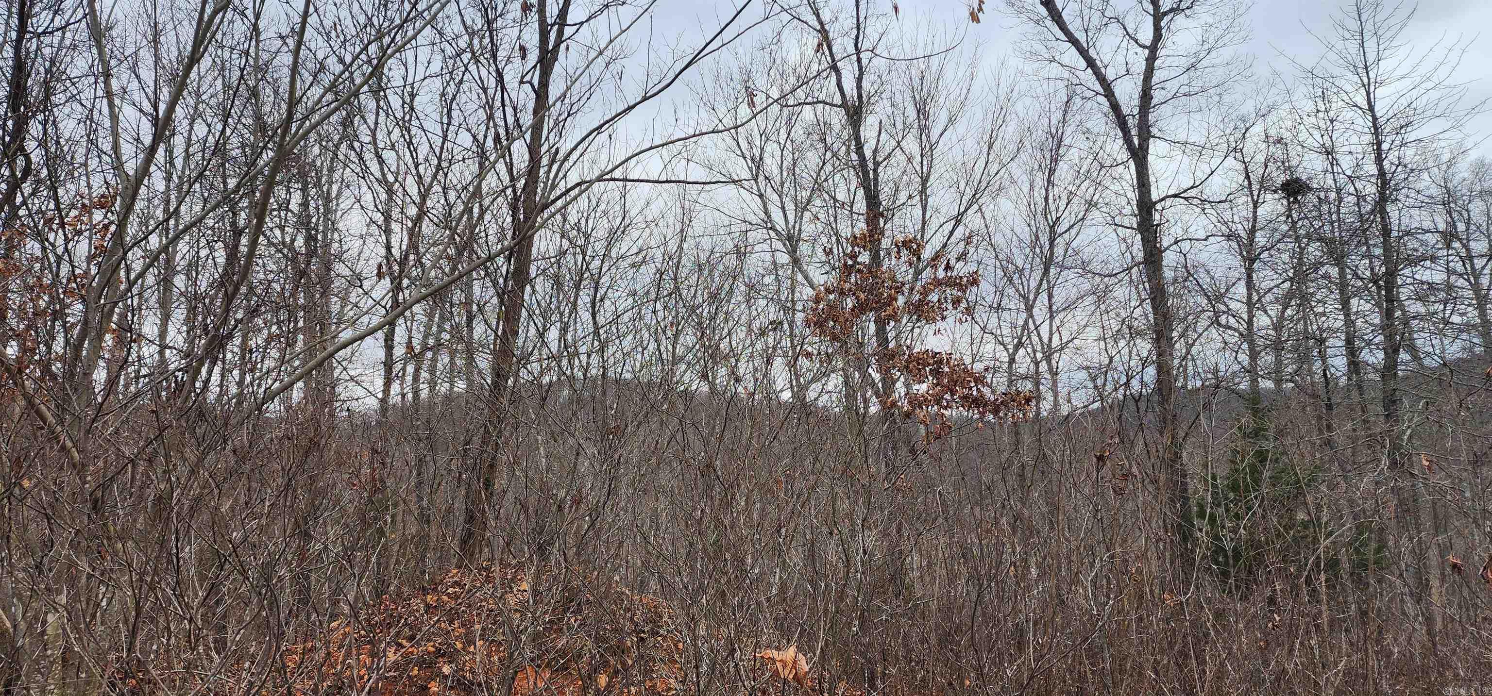 TBD SR 142  Green For., AR