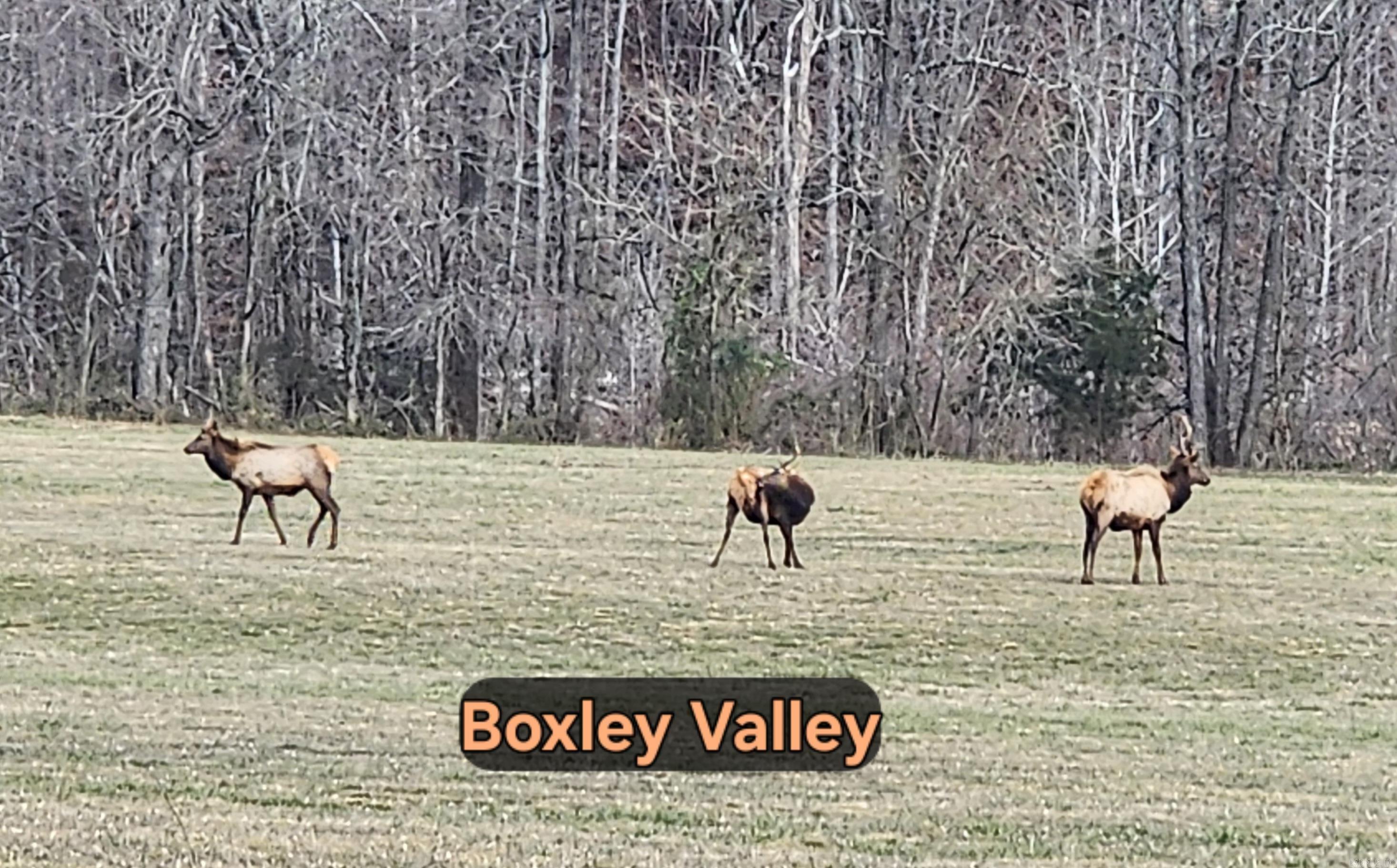 TBD SR 142  Green For., AR