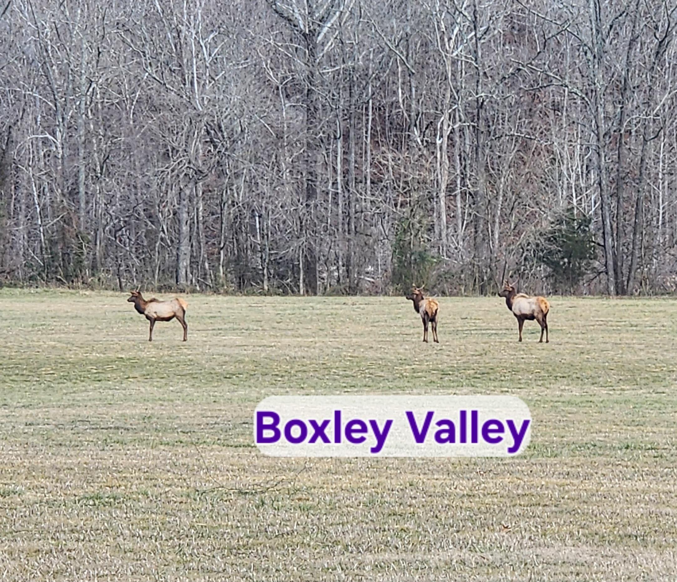 TBD SR 142  Green For., AR