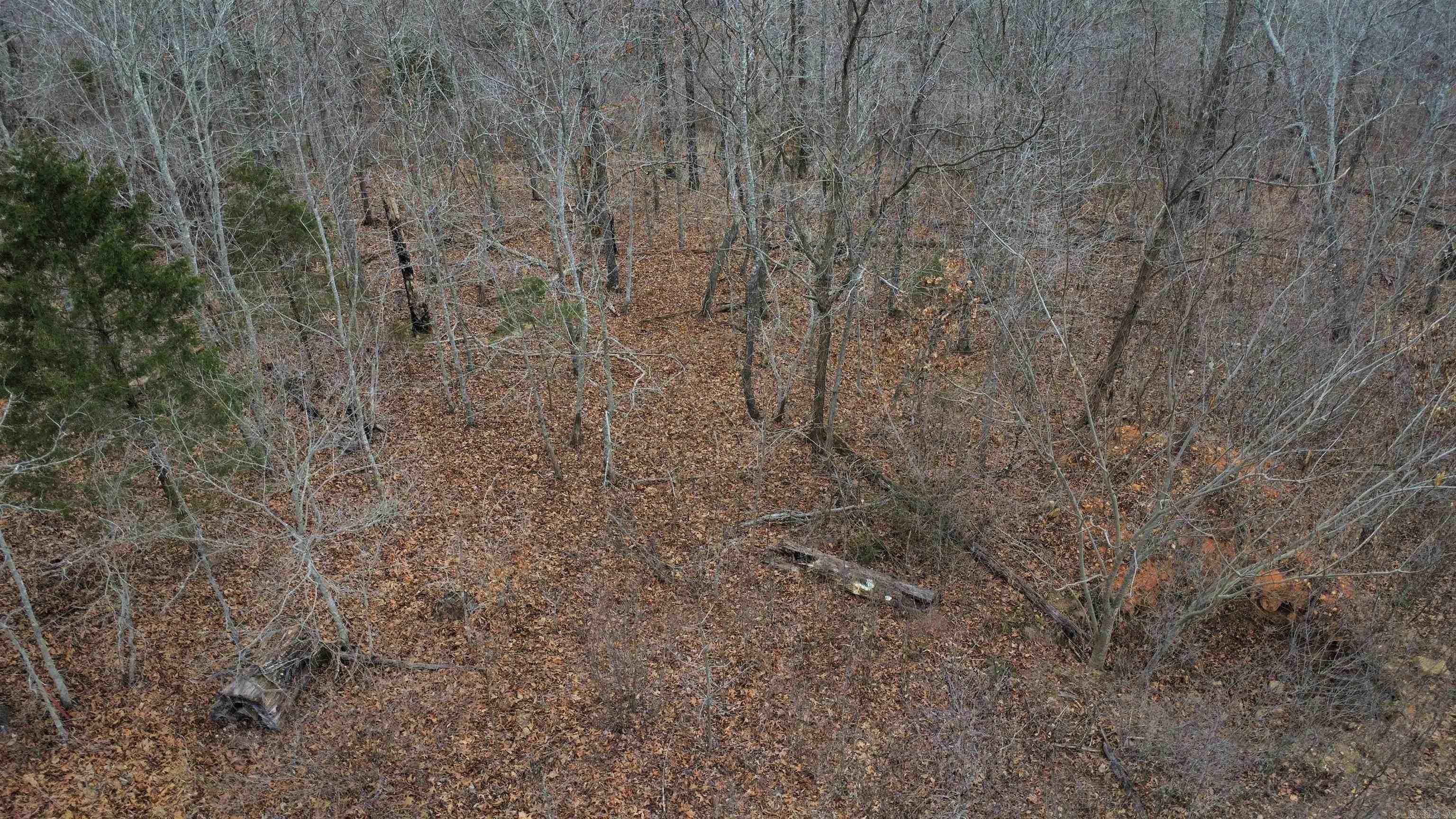 TBD SR 142  Green For., AR