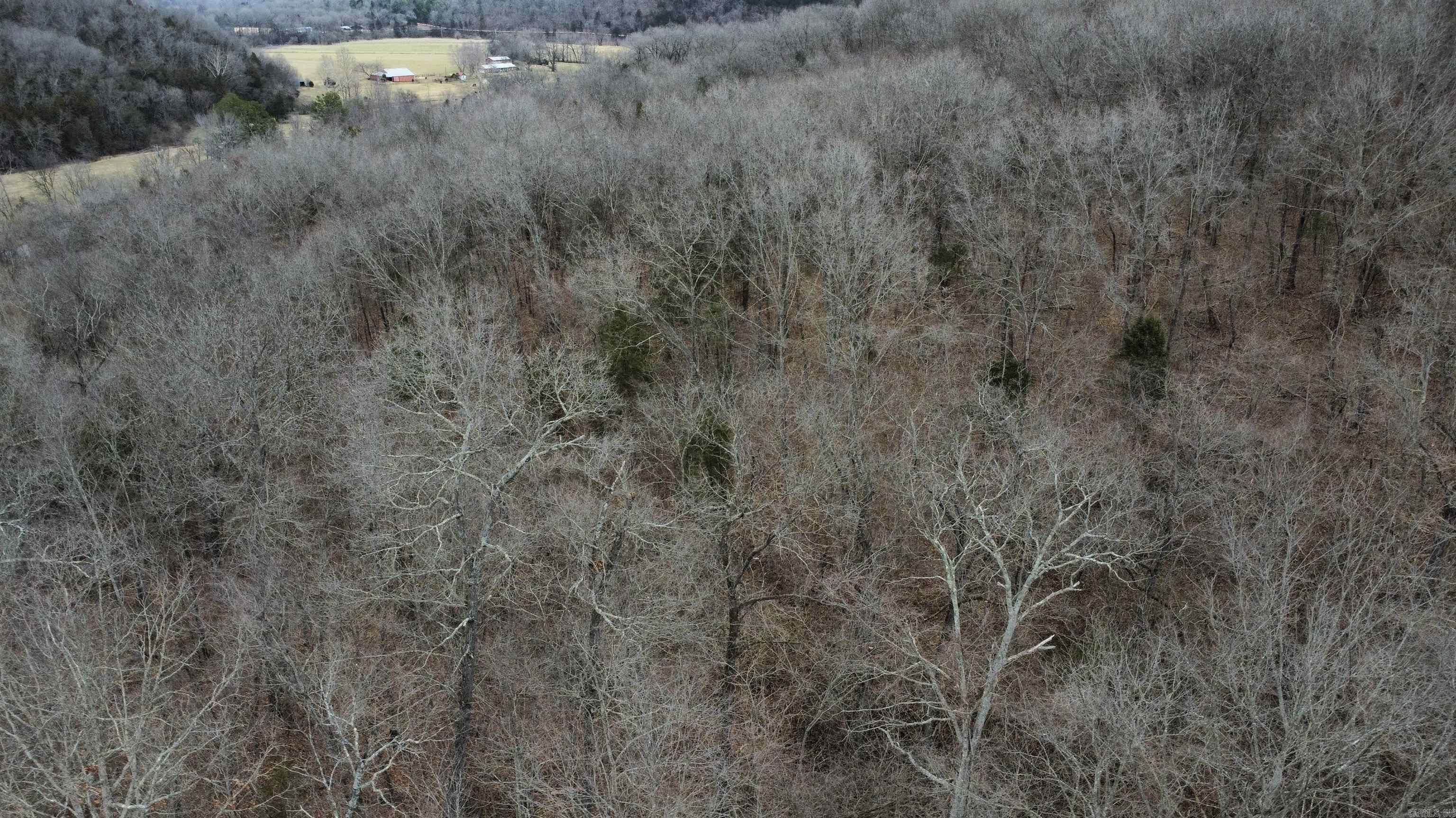 TBD SR 142  Green For., AR