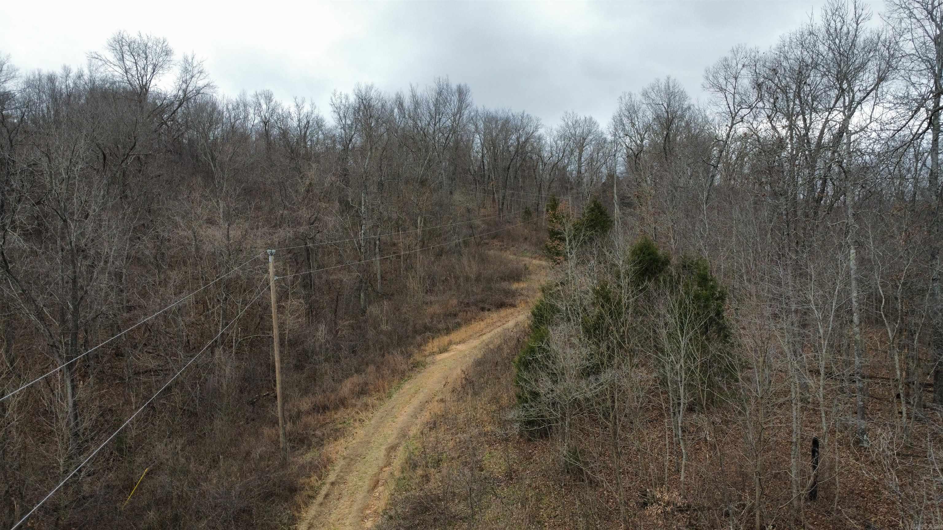 TBD SR 142  Green For., AR