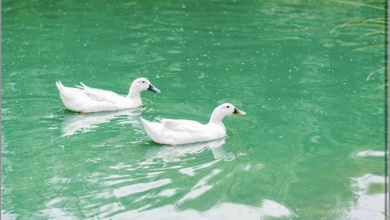 282 County Road 723  Jonesboro, AR