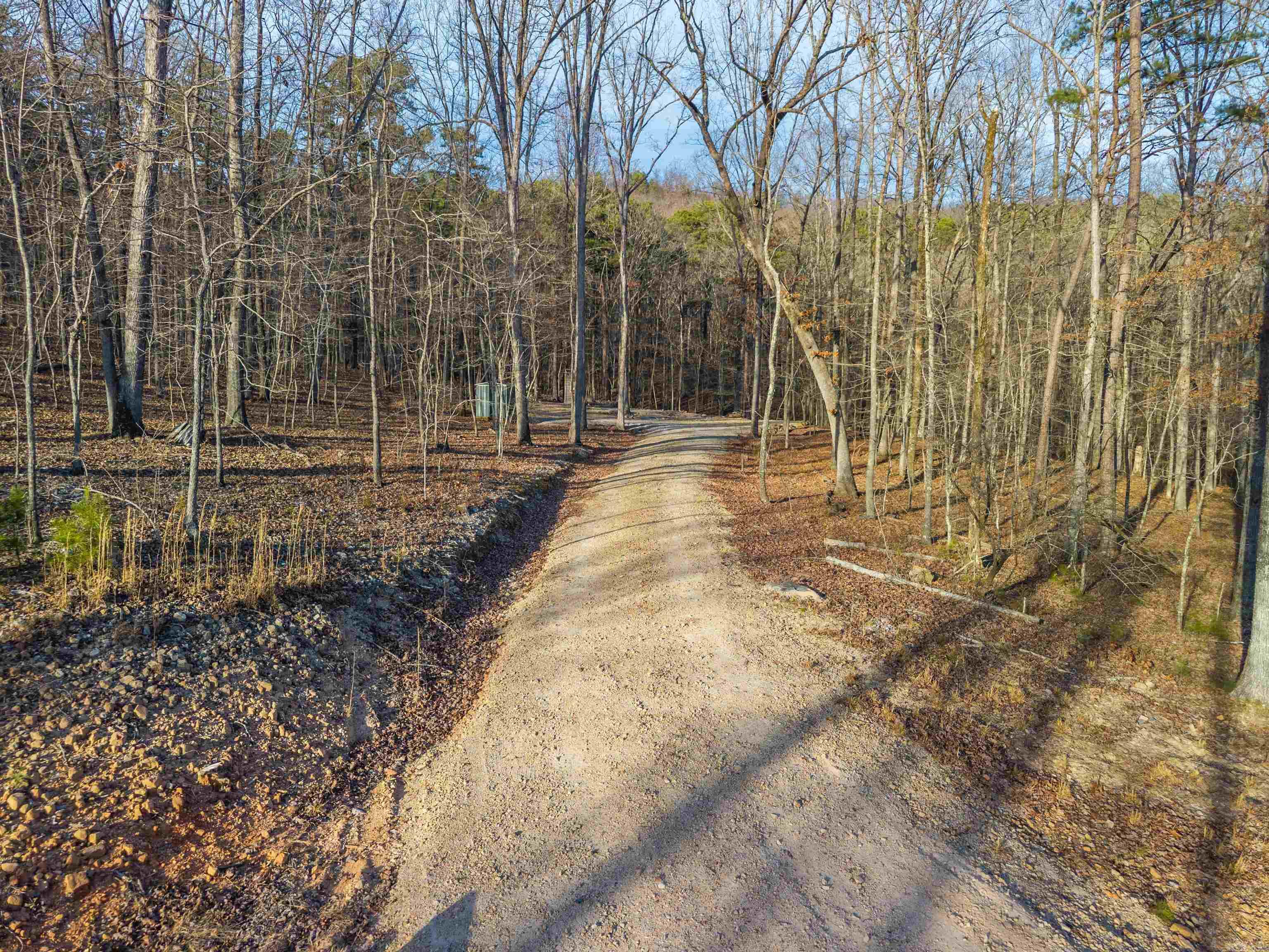 116 Blackcat  Royal, AR