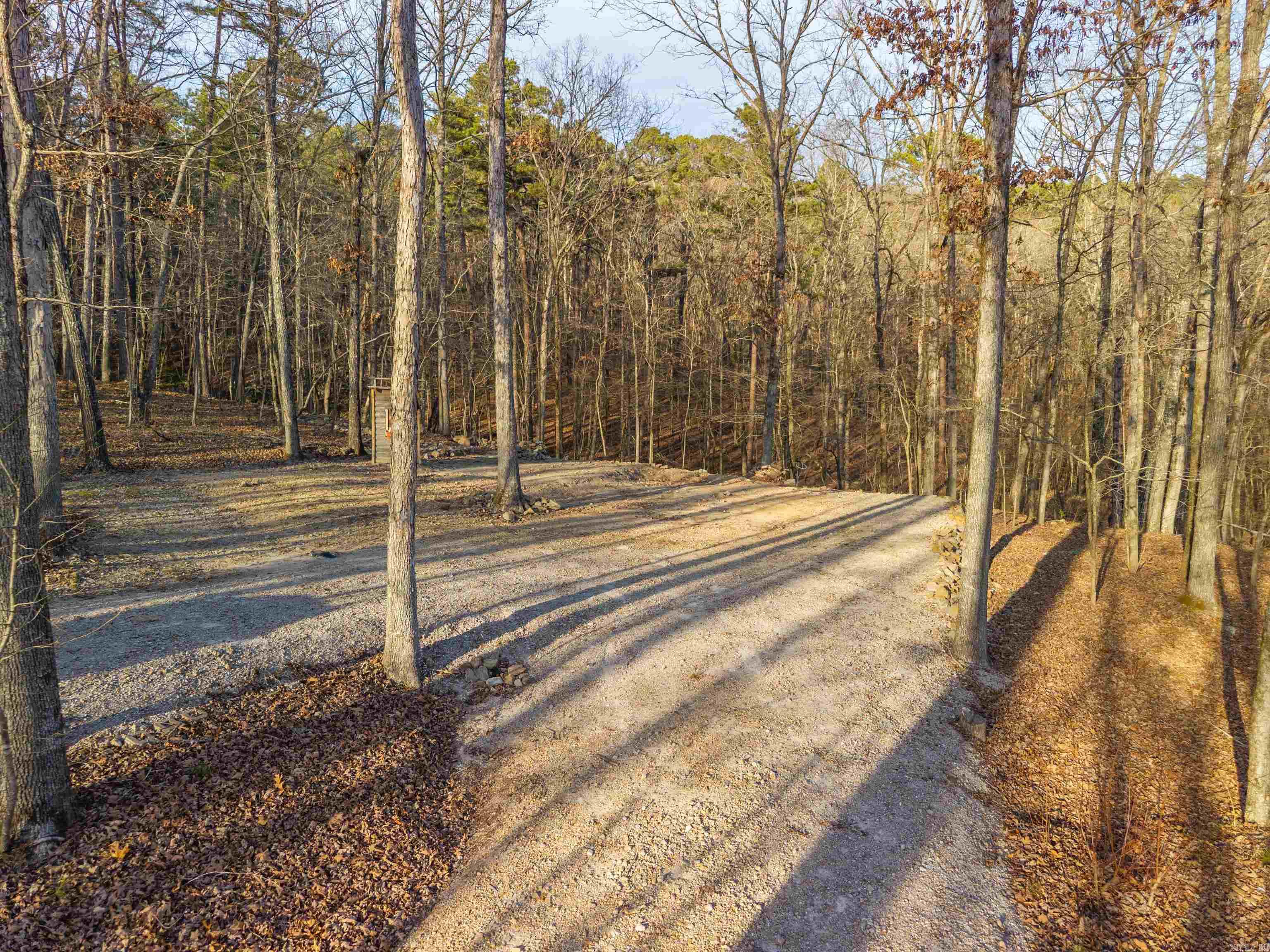 116 Blackcat  Royal, AR