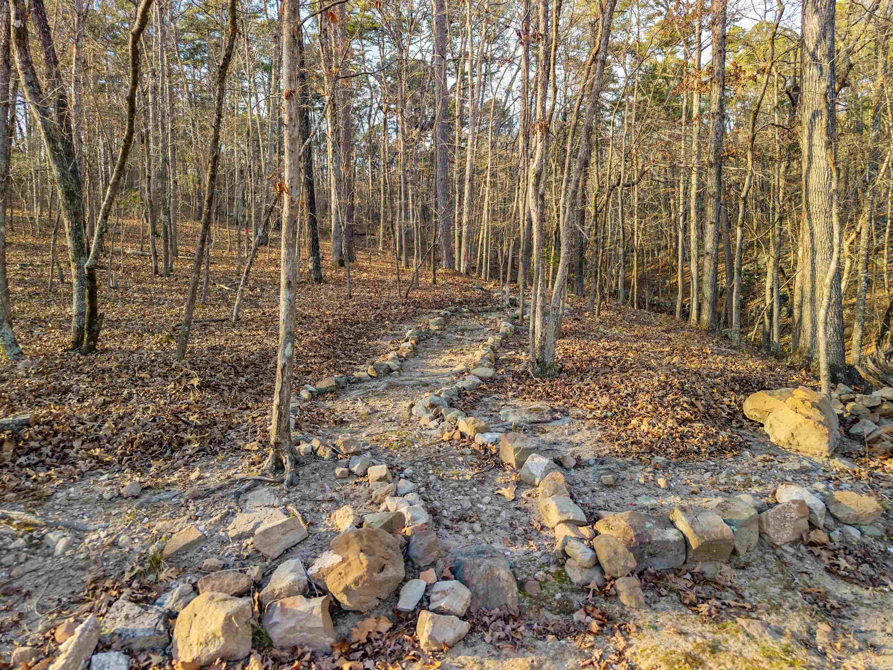 116 Blackcat  Royal, AR