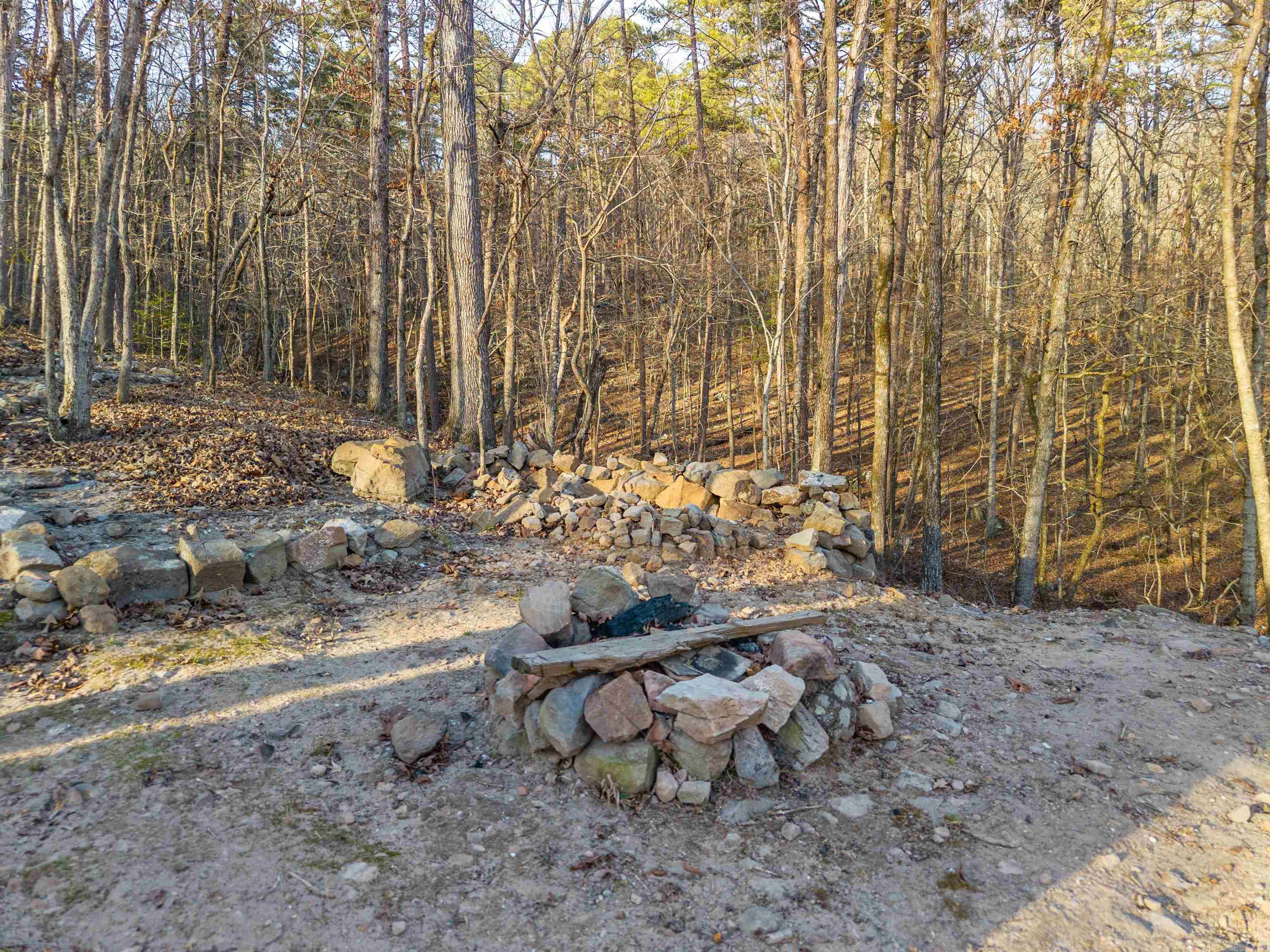 116 Blackcat  Royal, AR