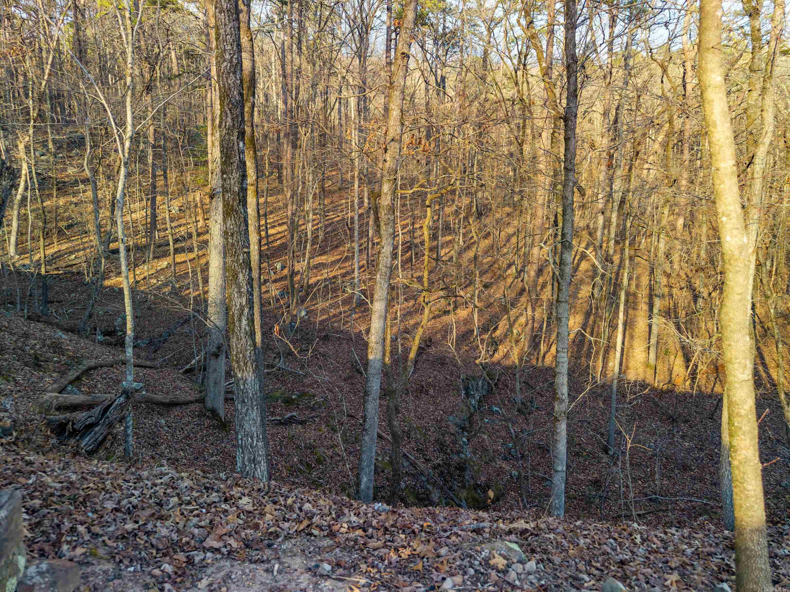 116 Blackcat  Royal, AR