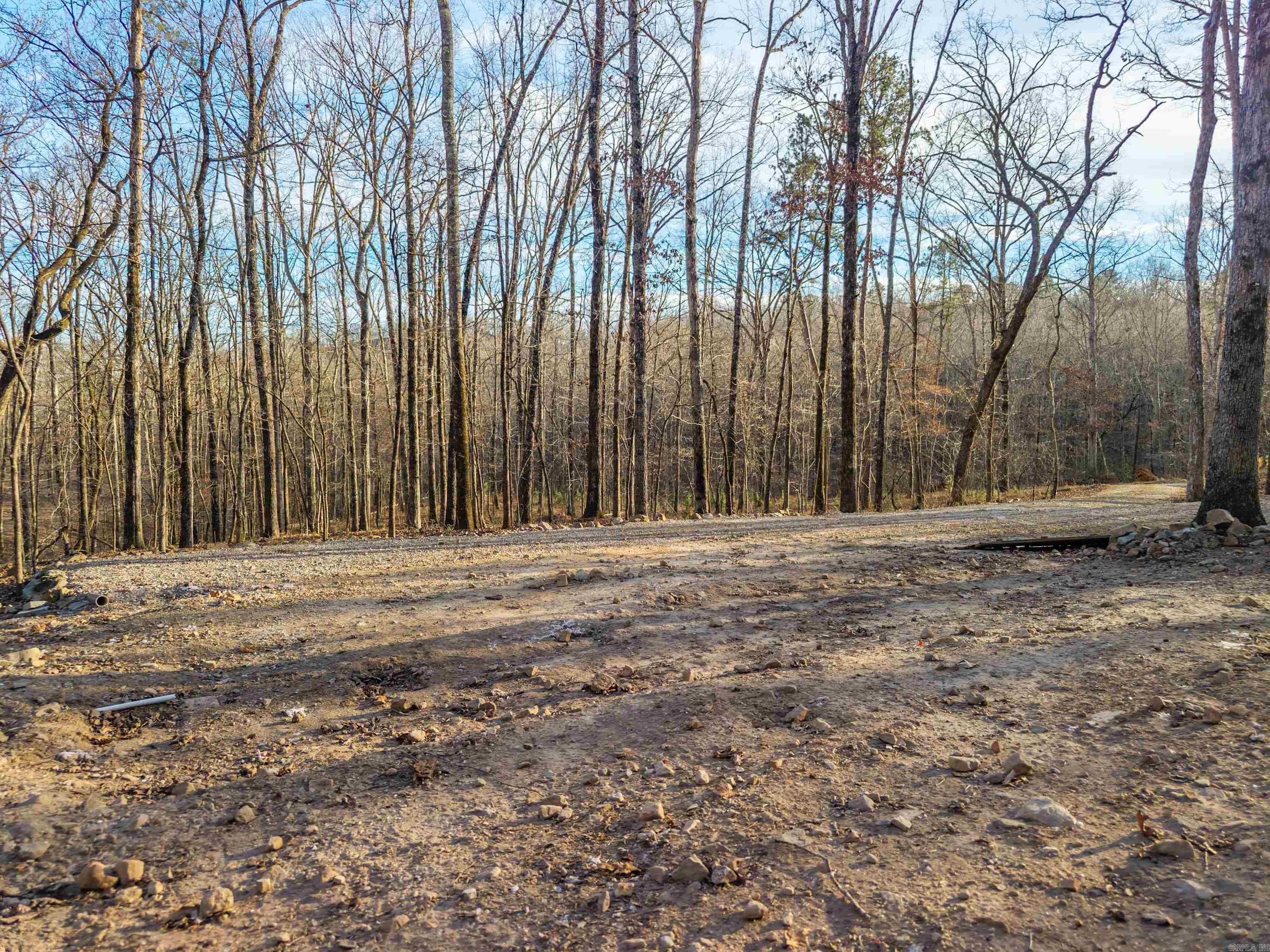 116 Blackcat  Royal, AR