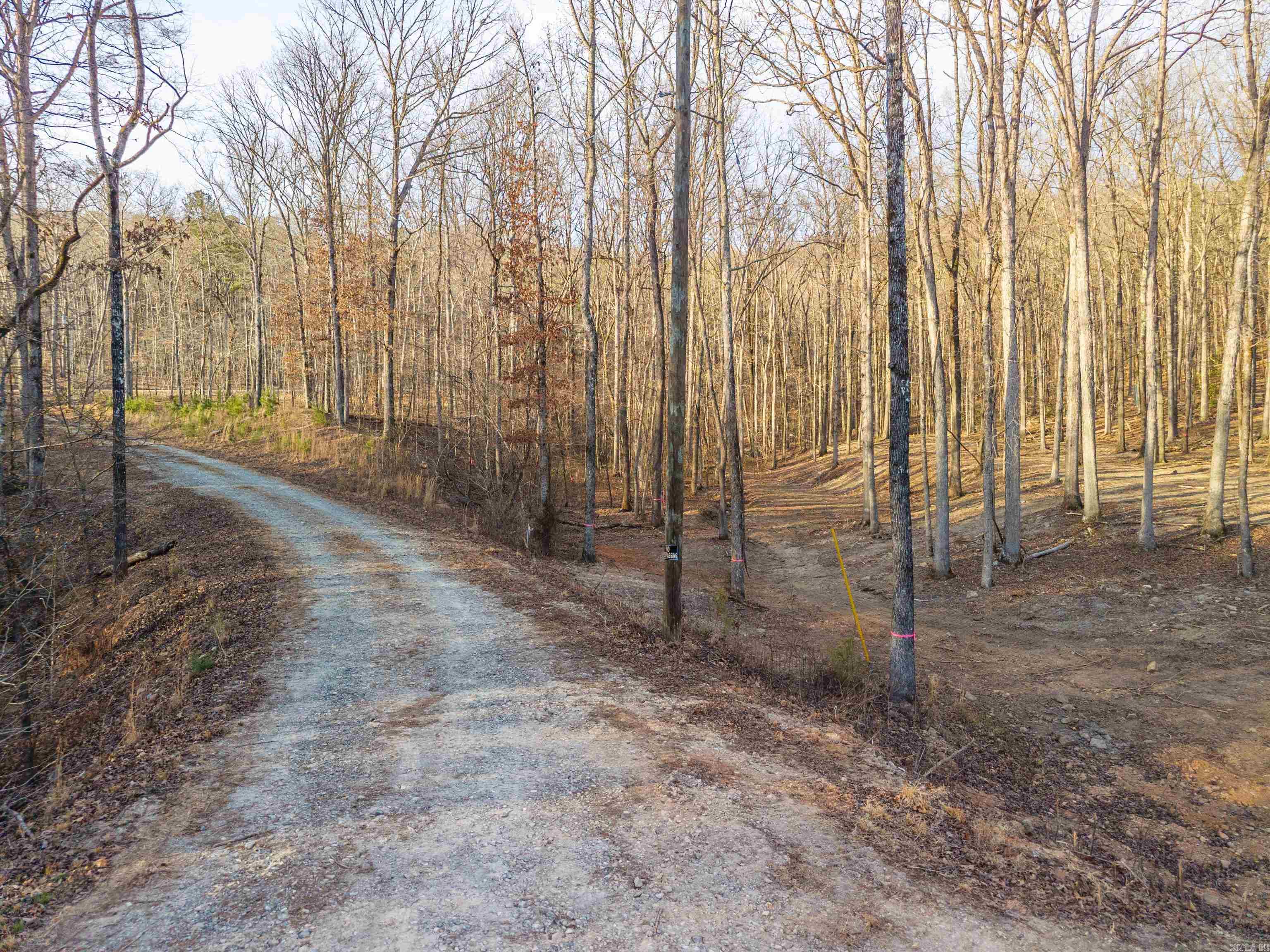 116 Blackcat  Royal, AR