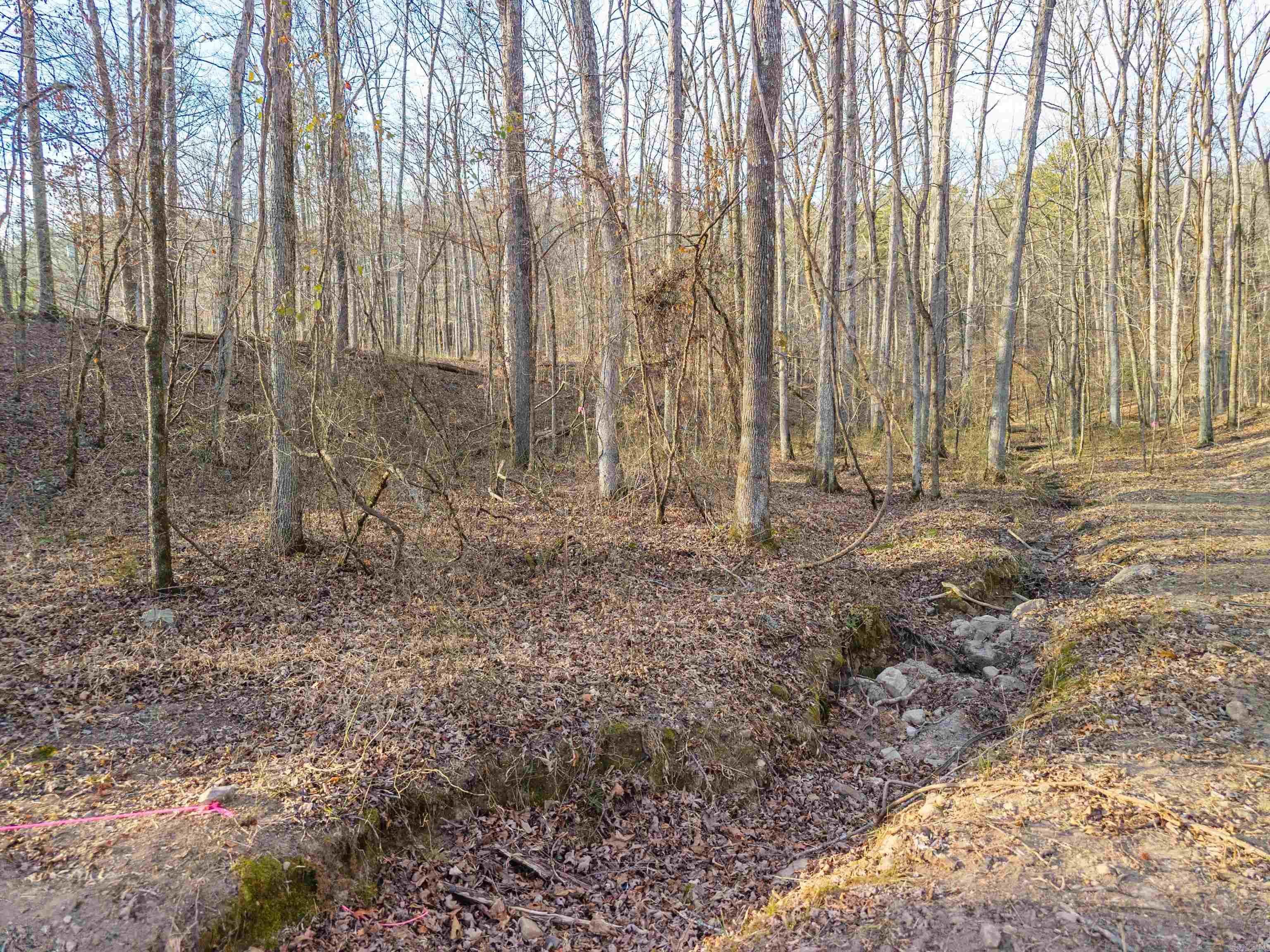 116 Blackcat  Royal, AR