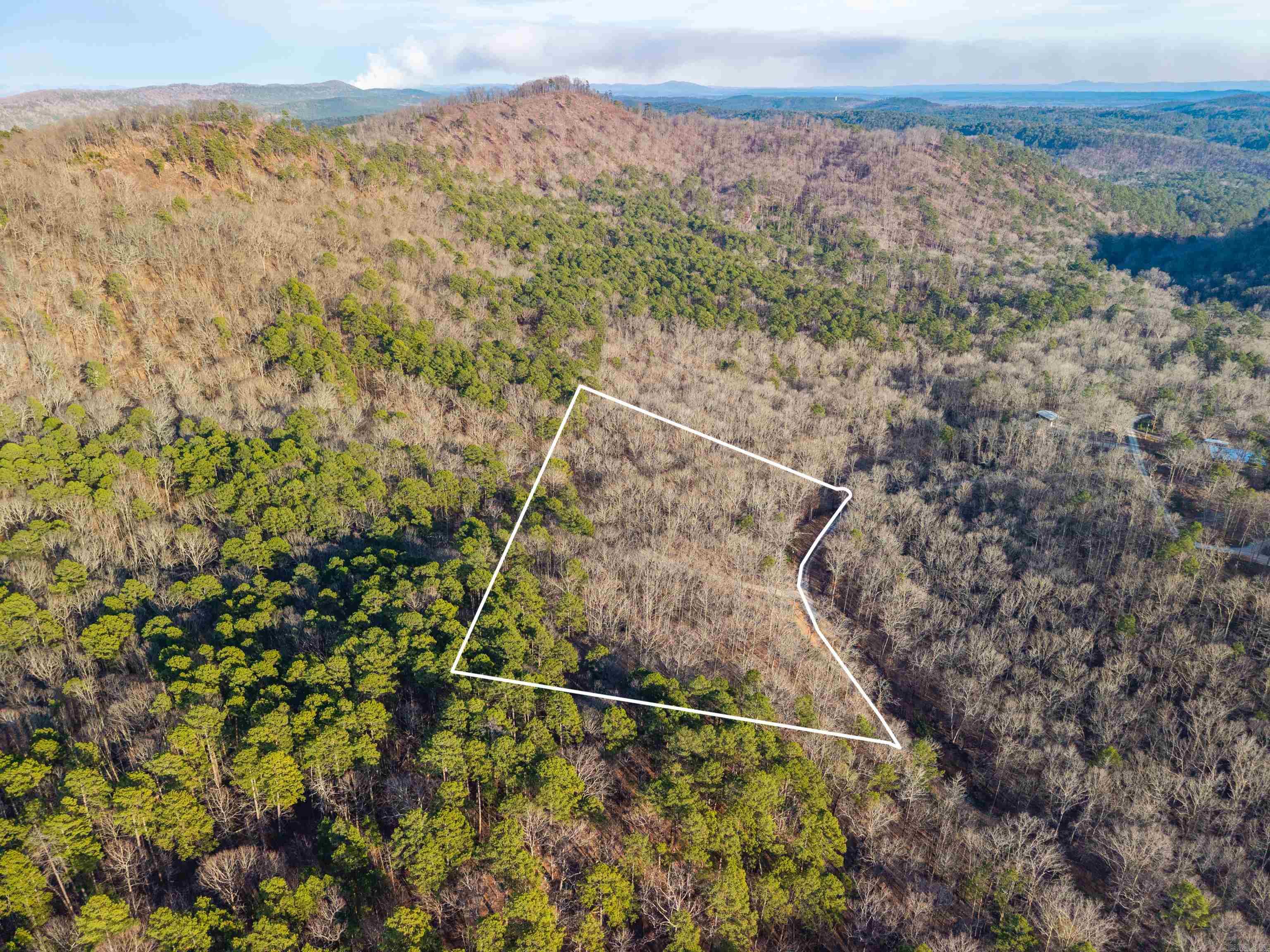 116 Blackcat  Royal, AR