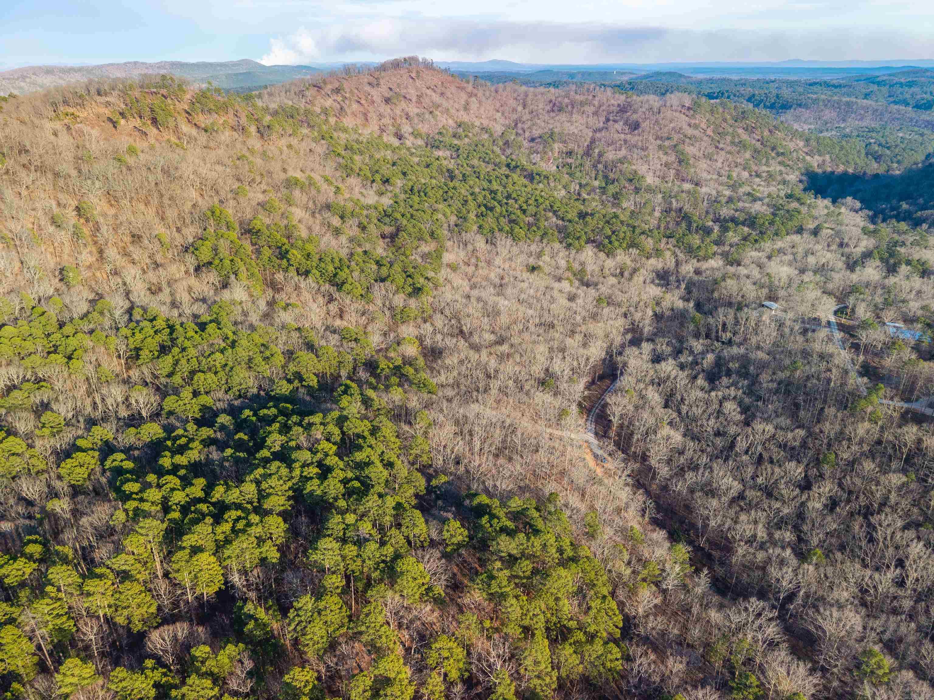 116 Blackcat  Royal, AR