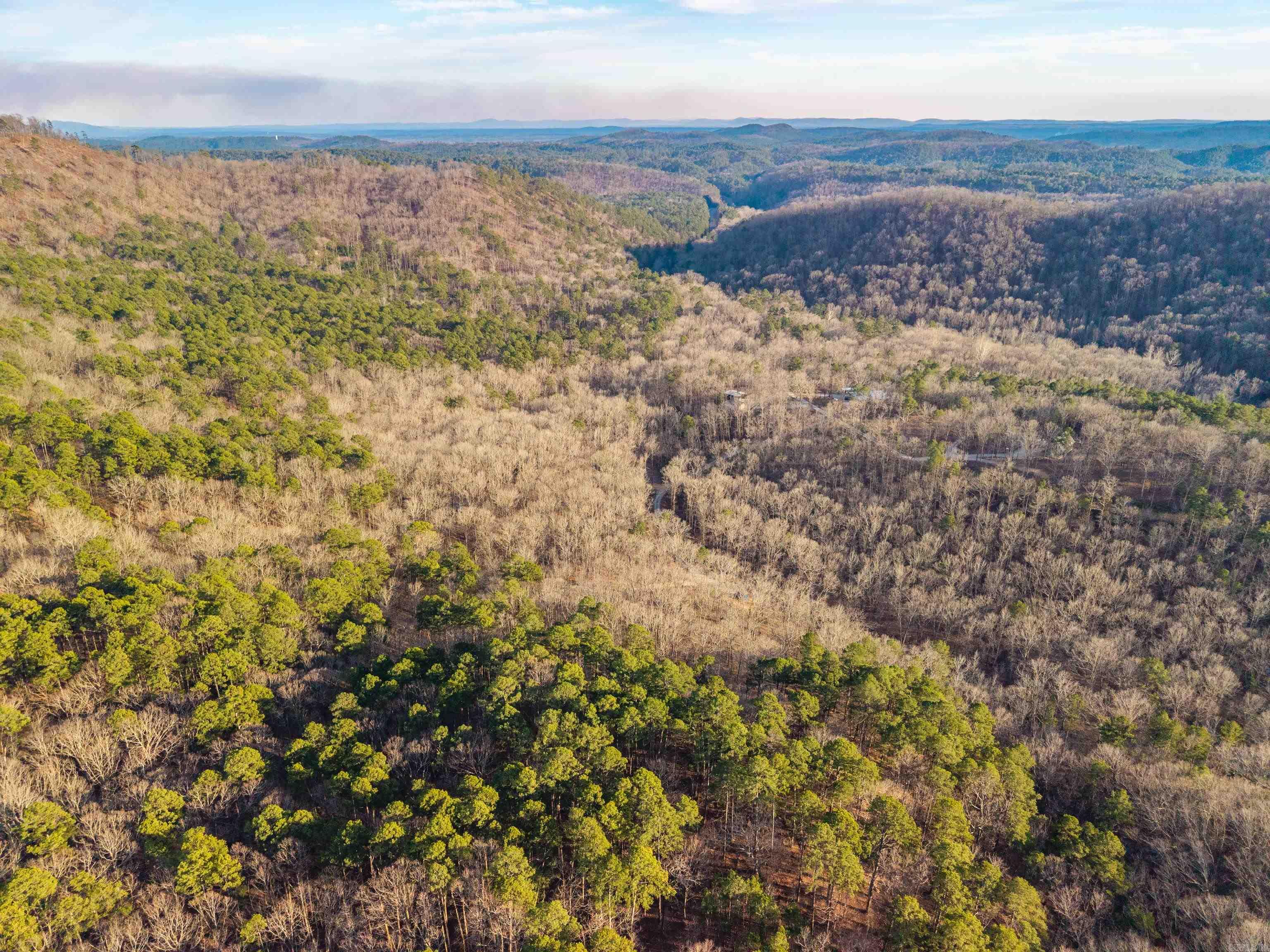 116 Blackcat  Royal, AR