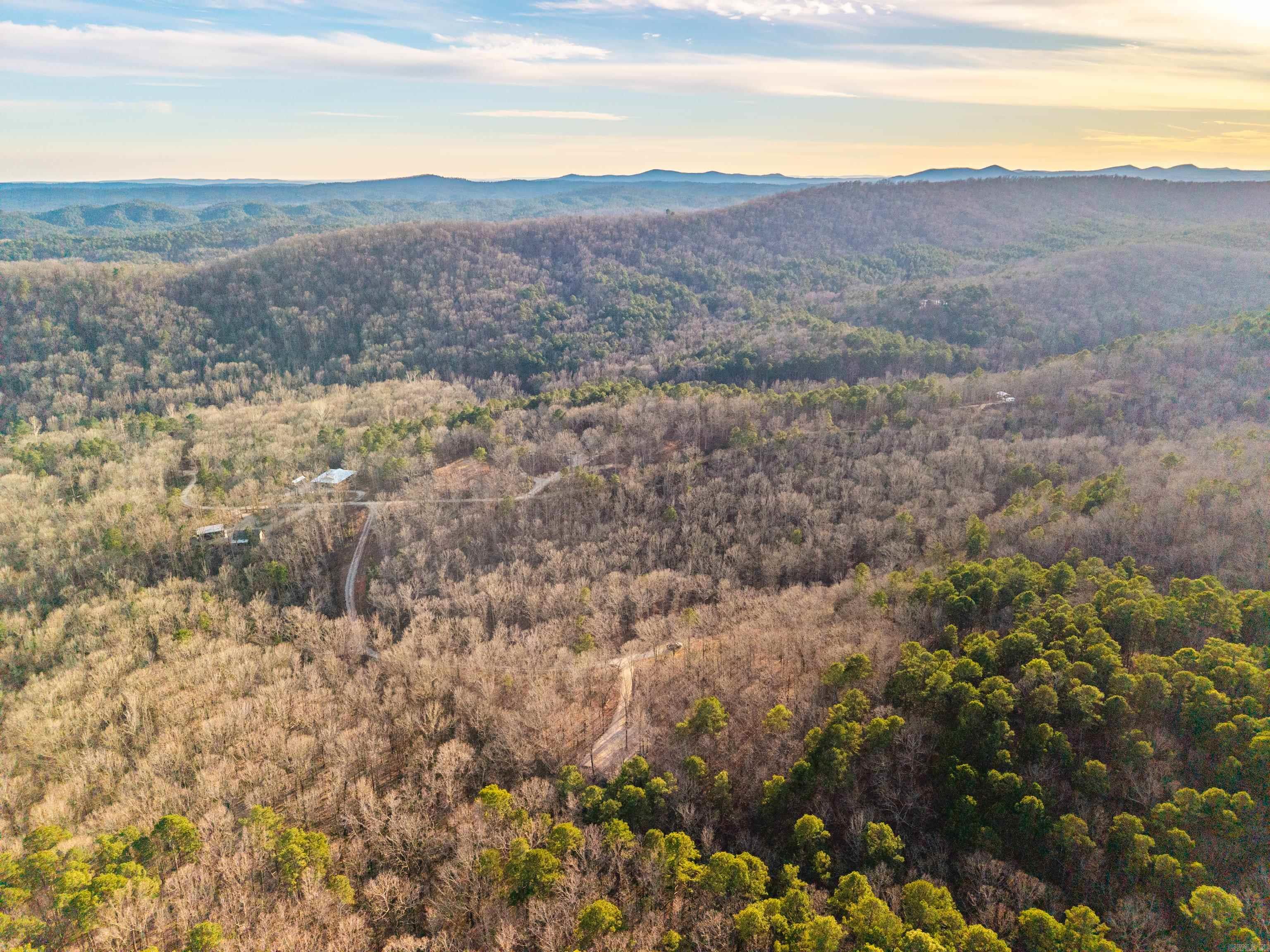 116 Blackcat  Royal, AR