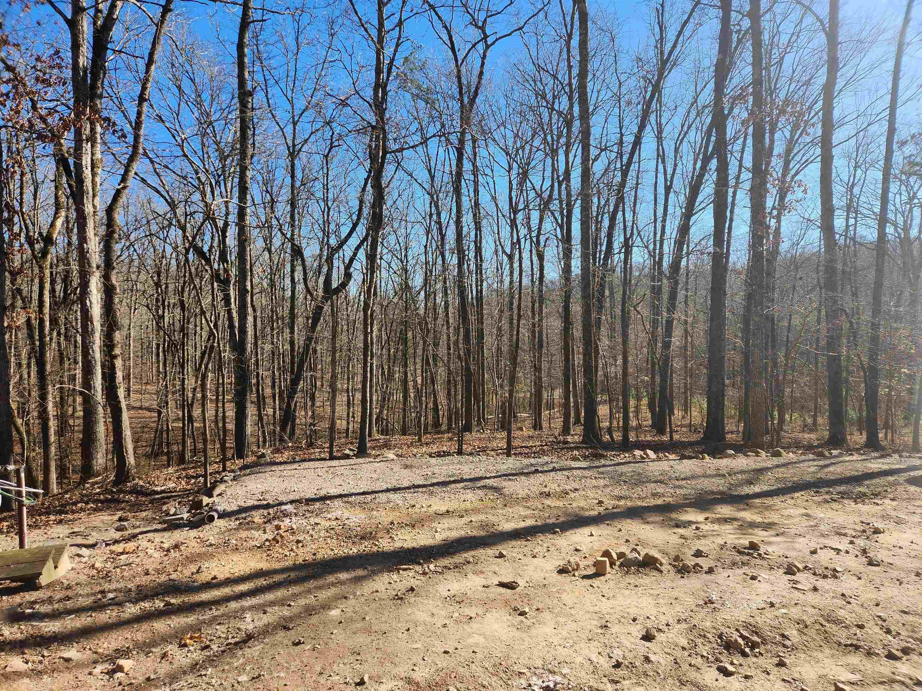 116 Blackcat  Royal, AR