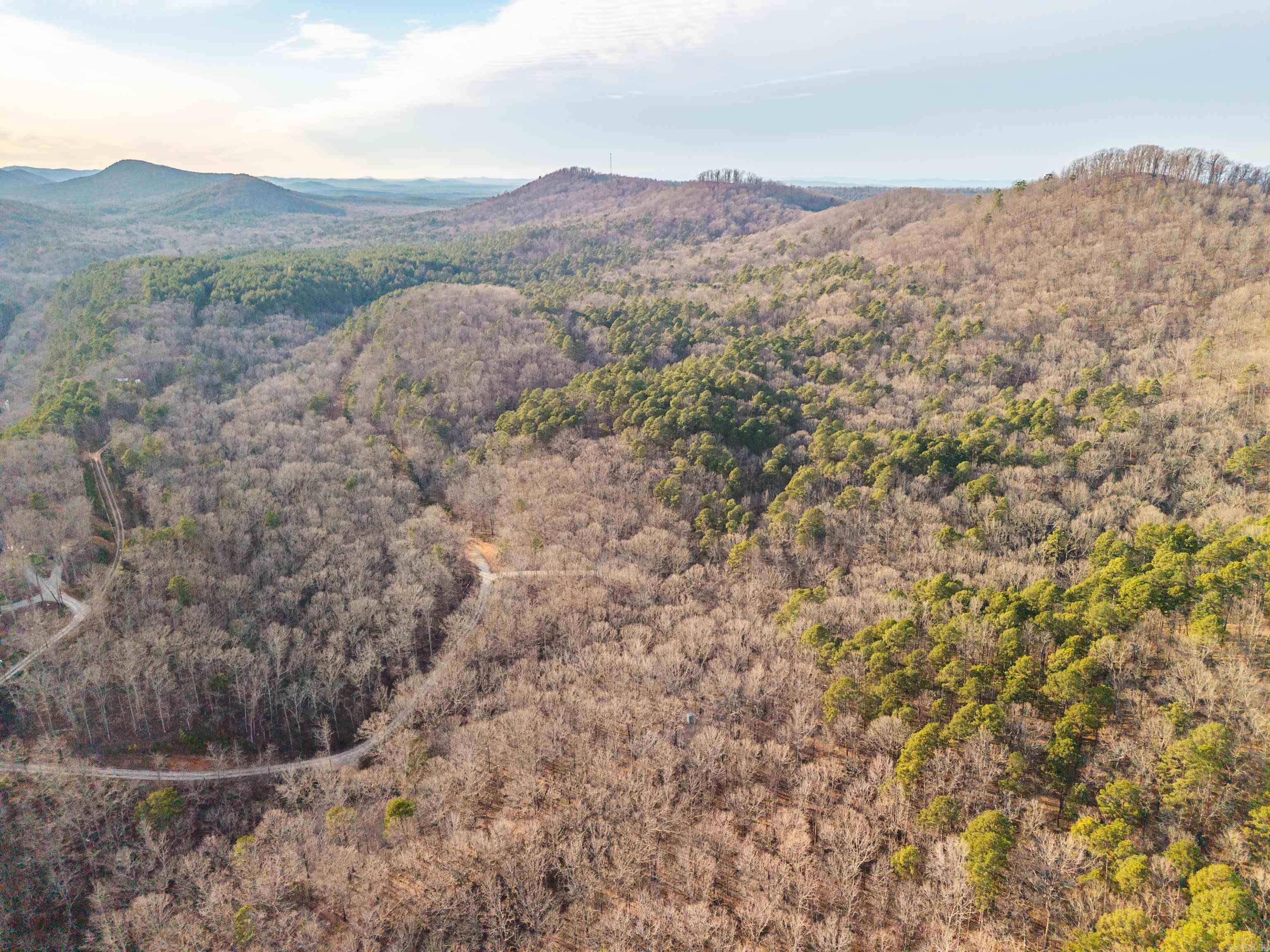 116 Blackcat  Royal, AR