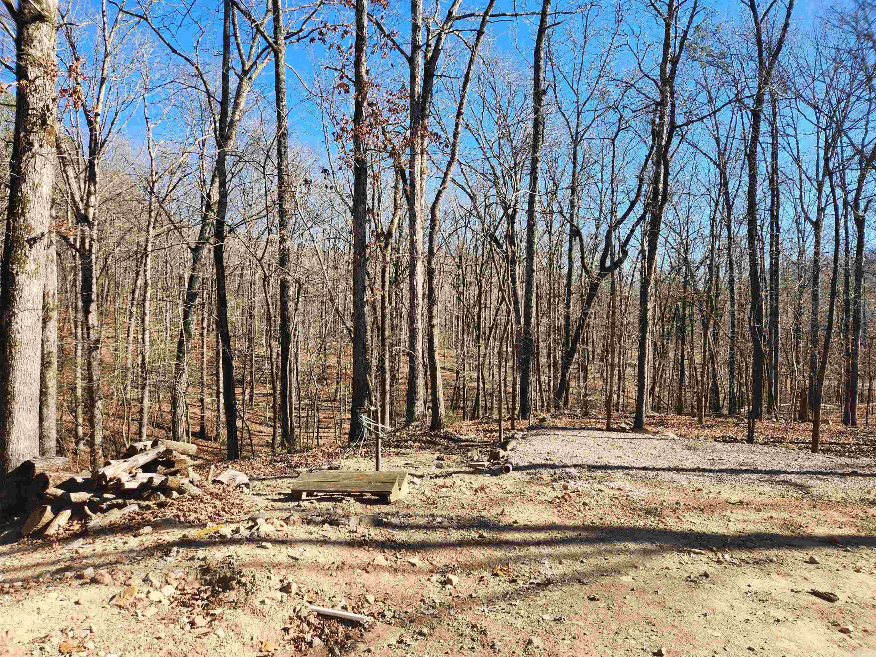 116 Blackcat  Royal, AR