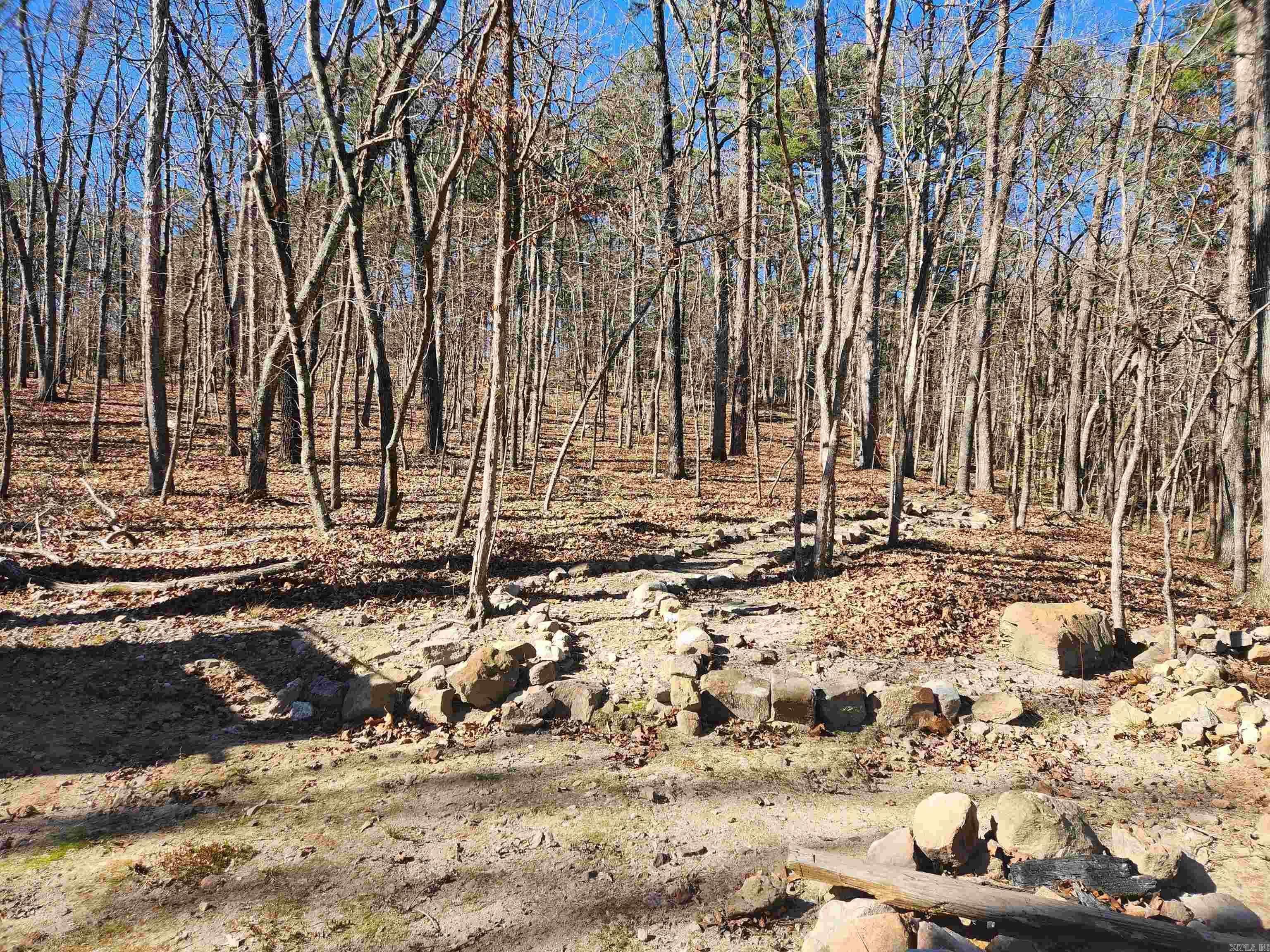 116 Blackcat  Royal, AR