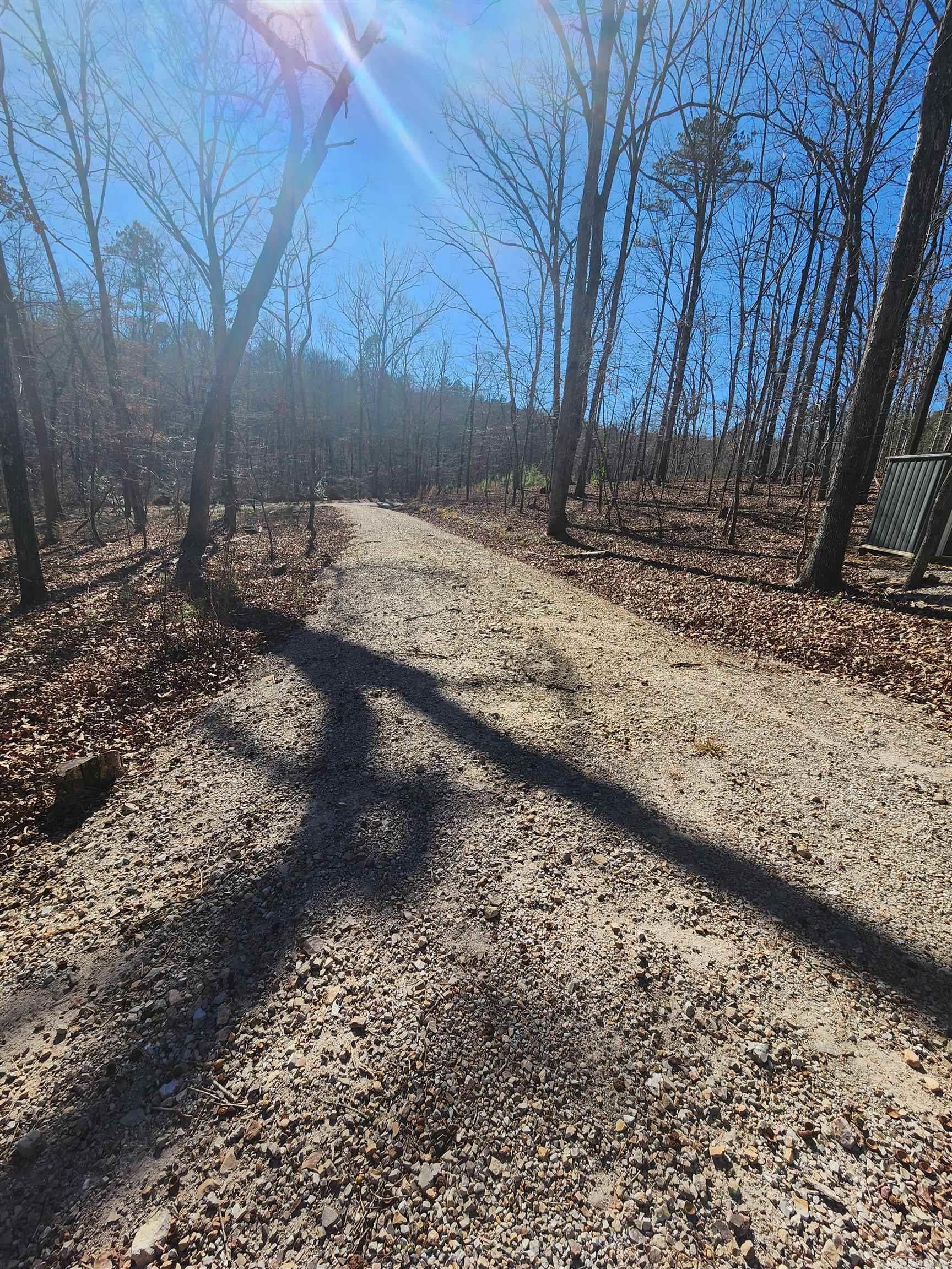 116 Blackcat  Royal, AR