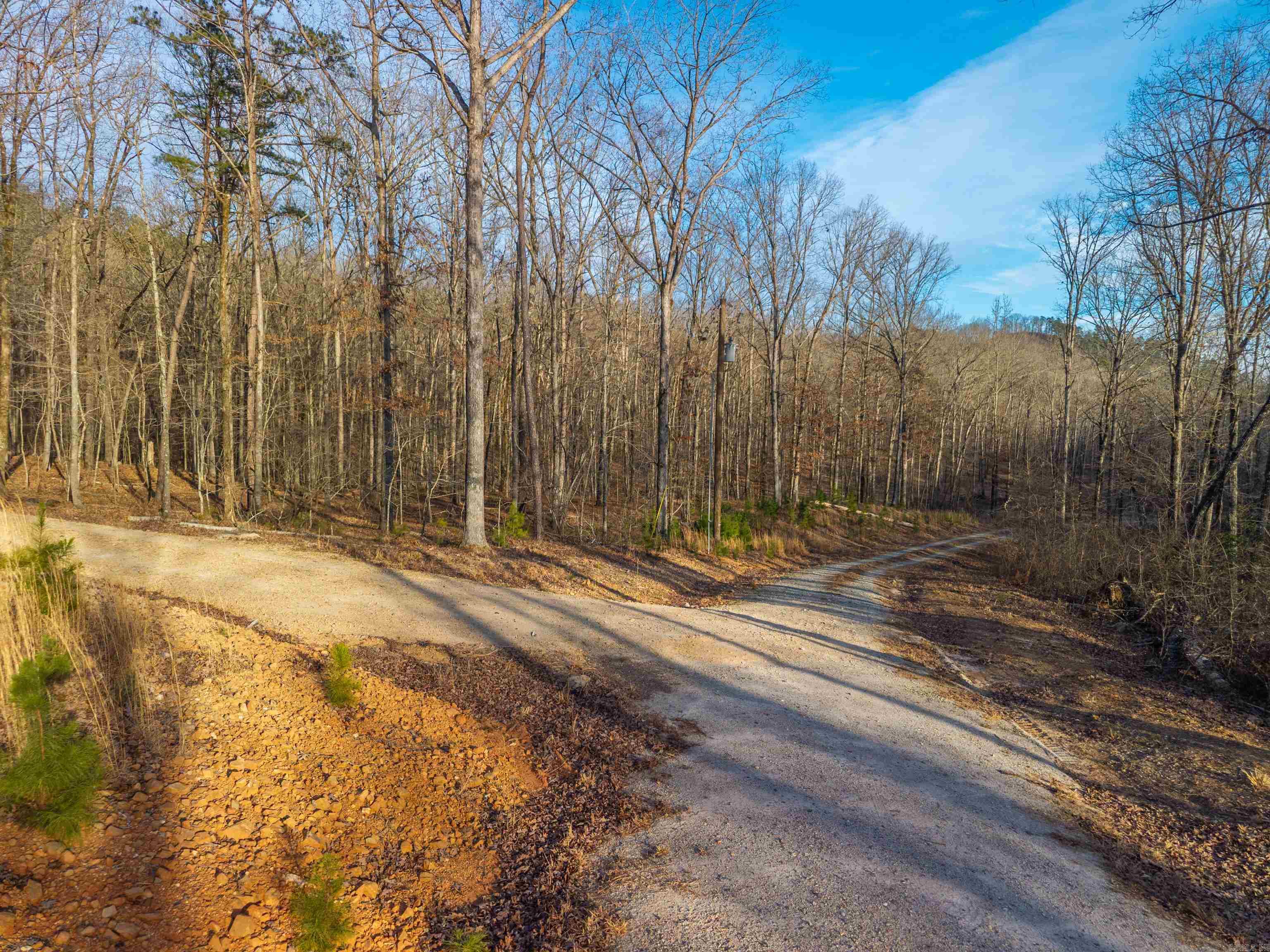 116 Blackcat  Royal, AR