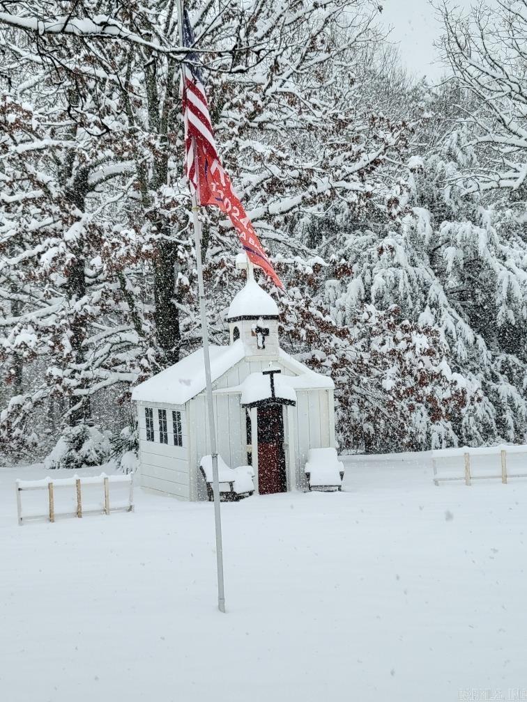 1095 Tarter Hill  Quitman, AR