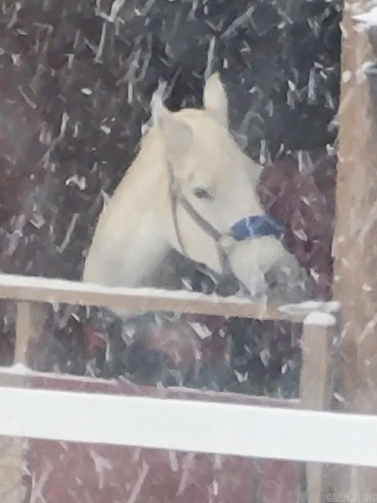 1095 Tarter Hill  Quitman, AR