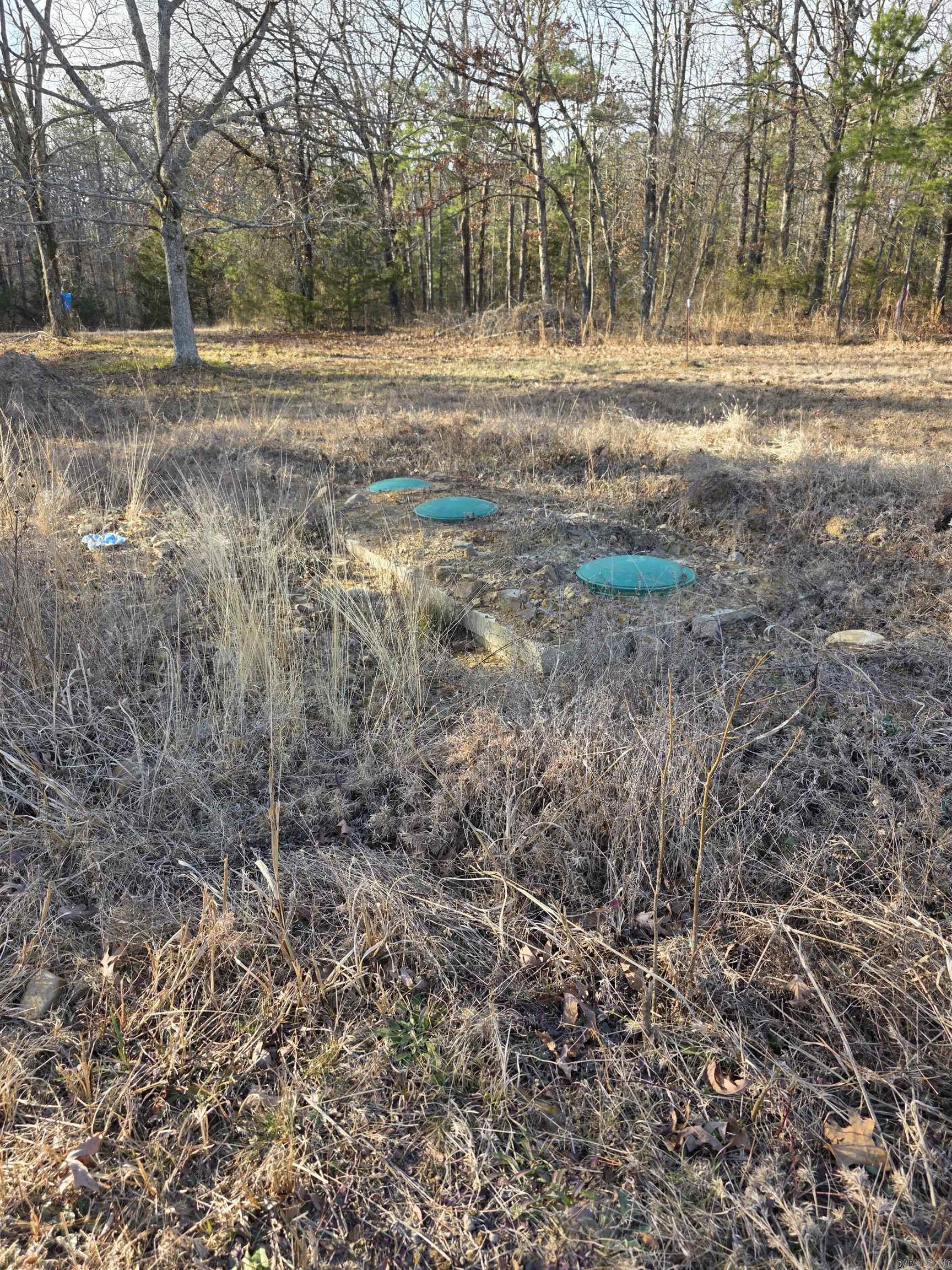 Unk Blissful  Mena, AR