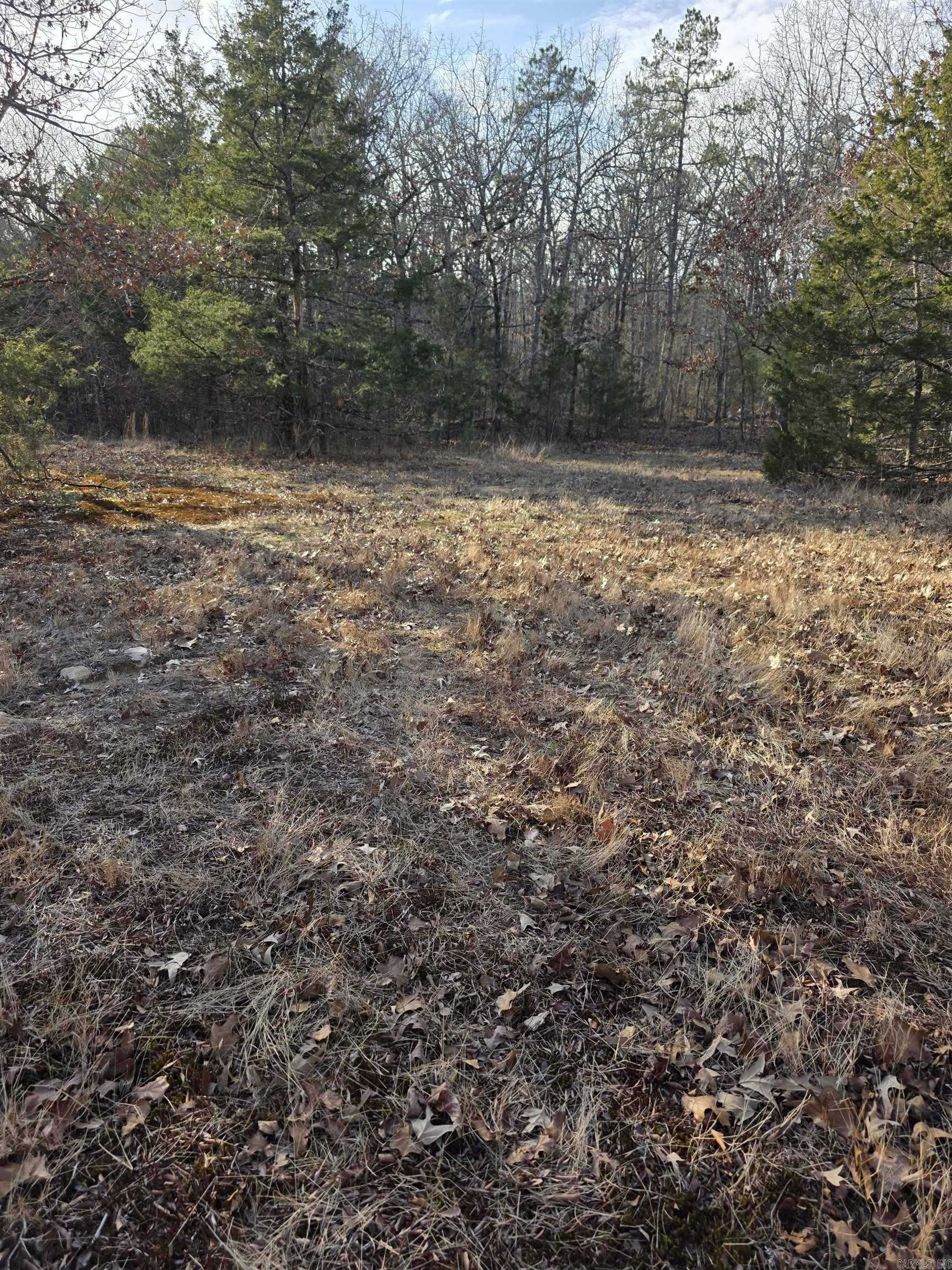 Unk Blissful  Mena, AR