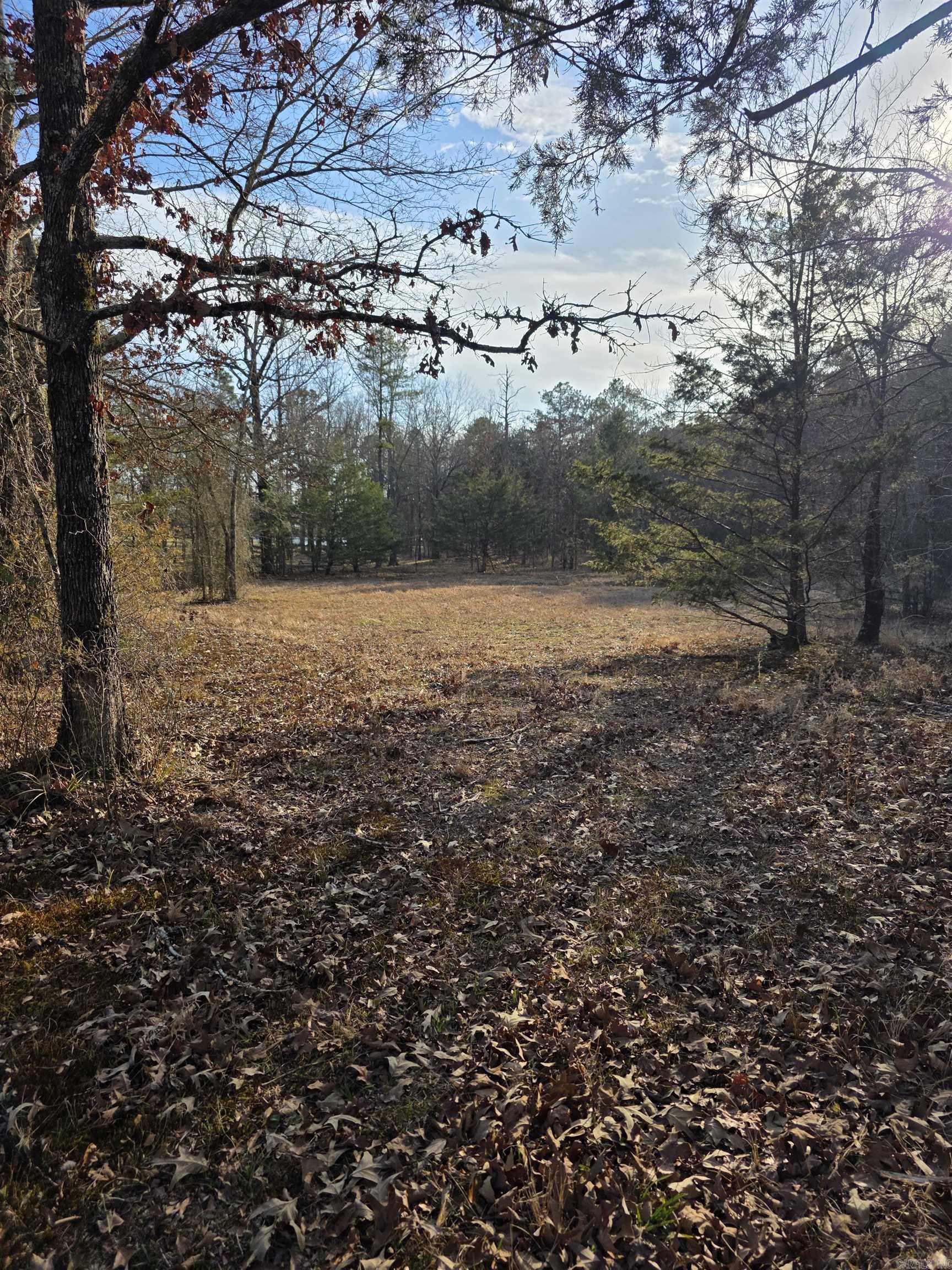 Unk Blissful  Mena, AR