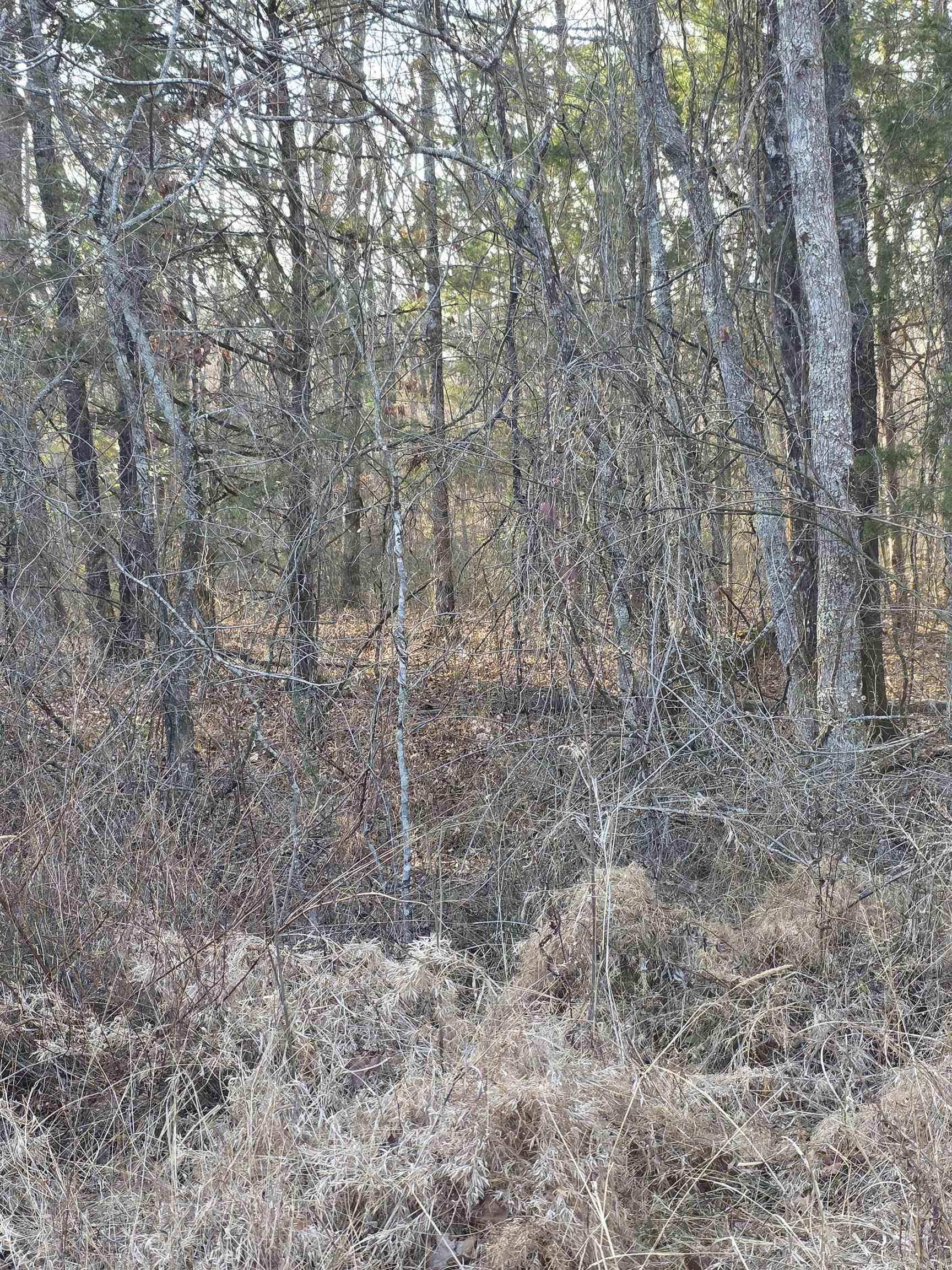 Unk Blissful  Mena, AR