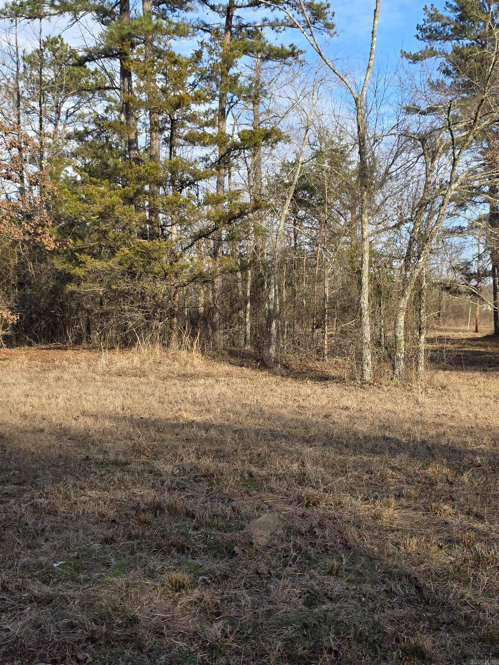 Unk Blissful  Mena, AR