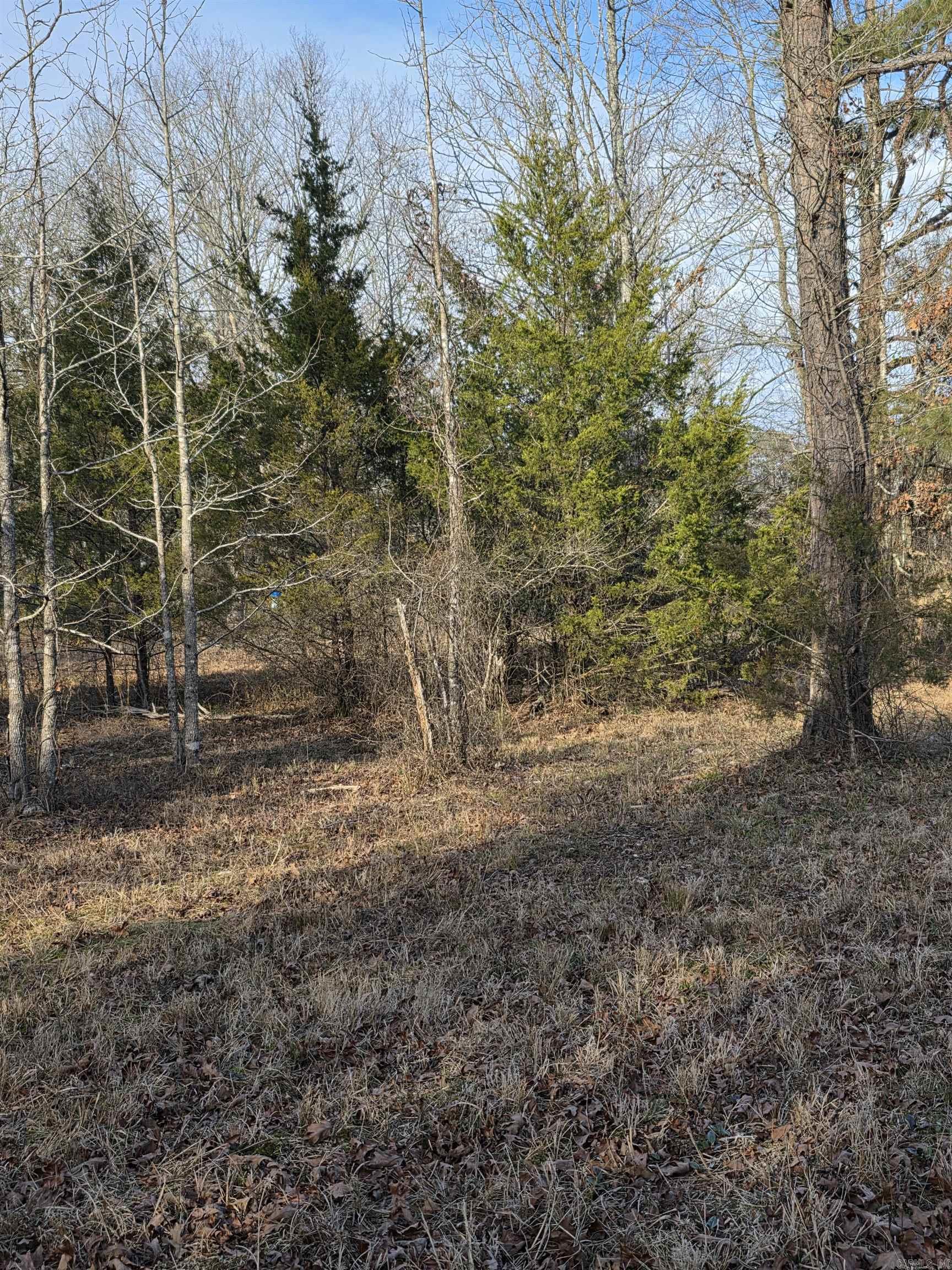 Unk Blissful  Mena, AR