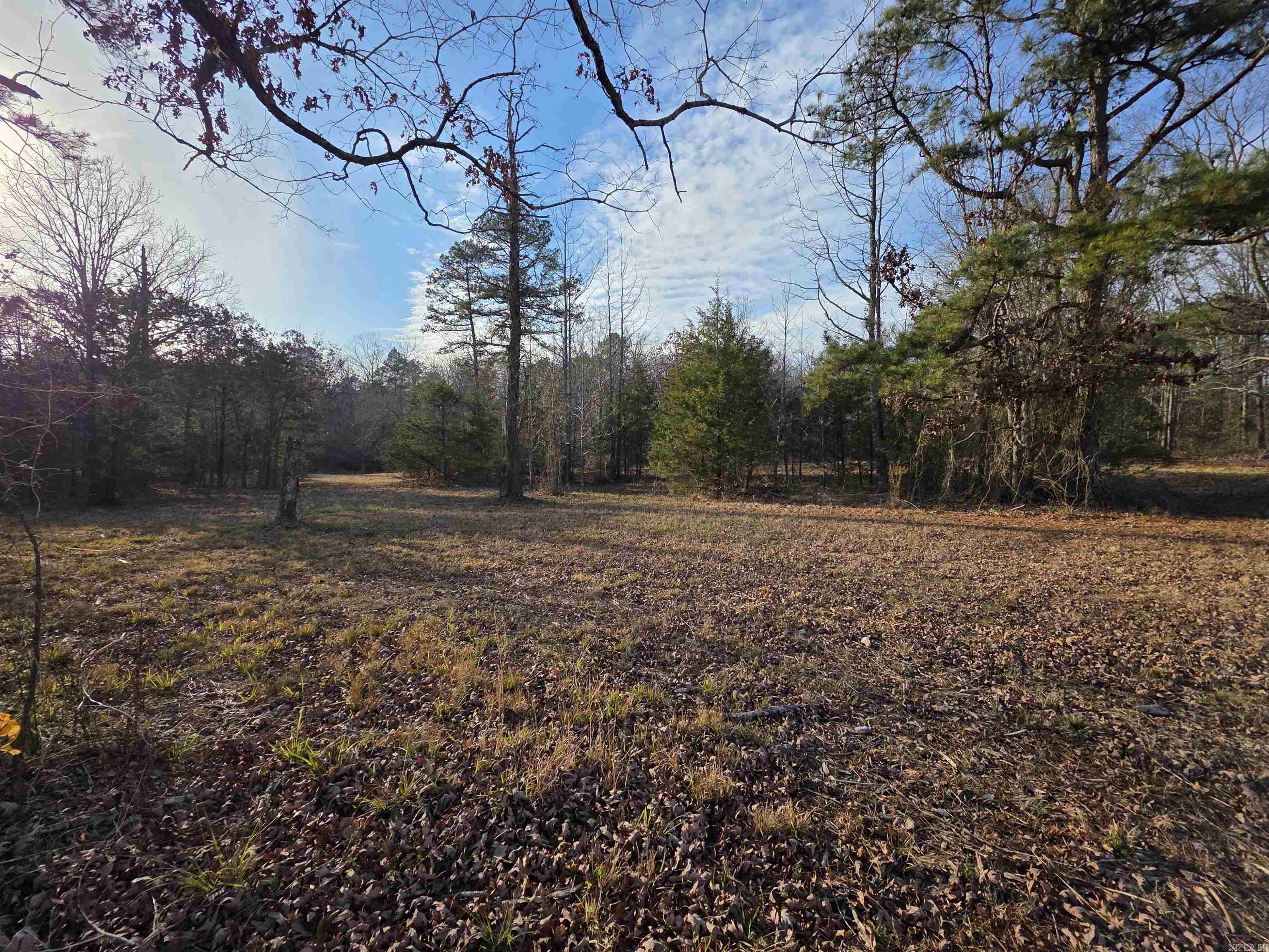 Unk Blissful  Mena, AR