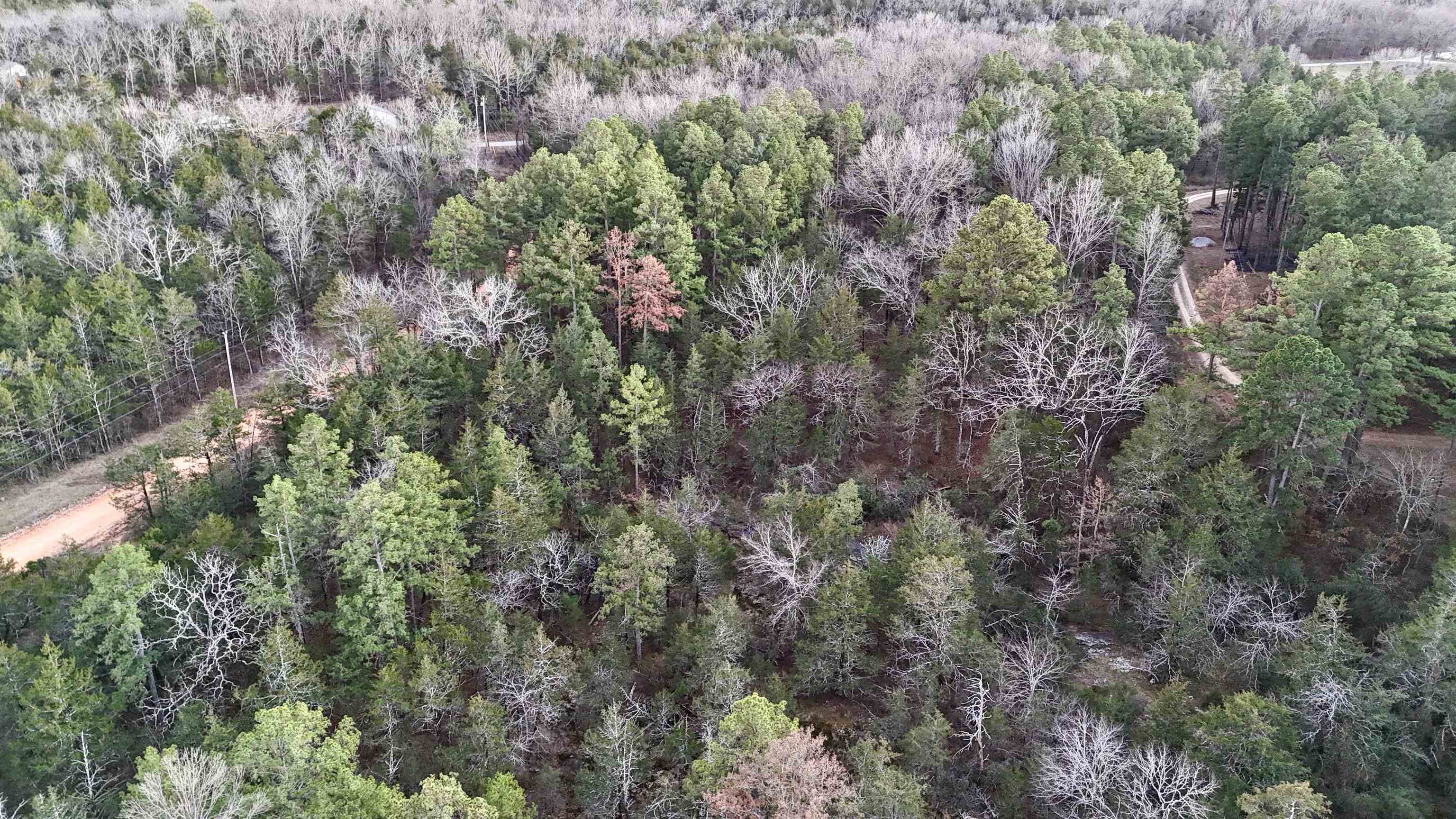  Ripplin Shoals Road  Melbourne, AR