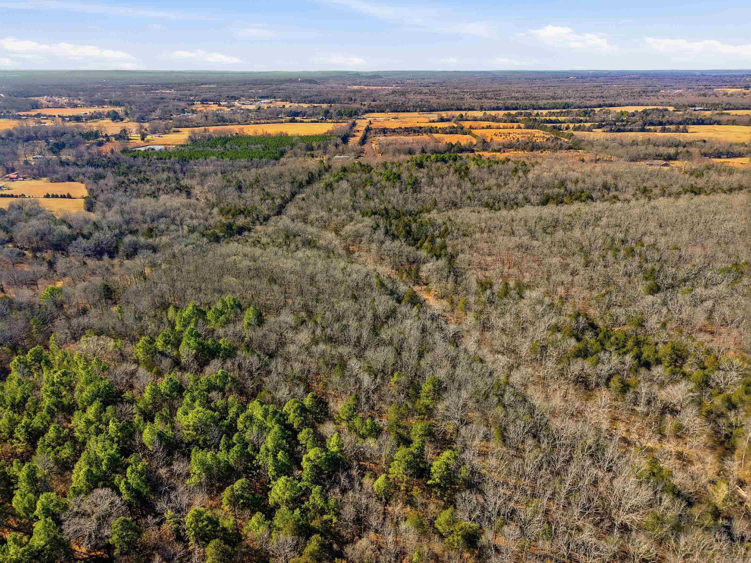 00 Manning  Mt. Vernon, AR