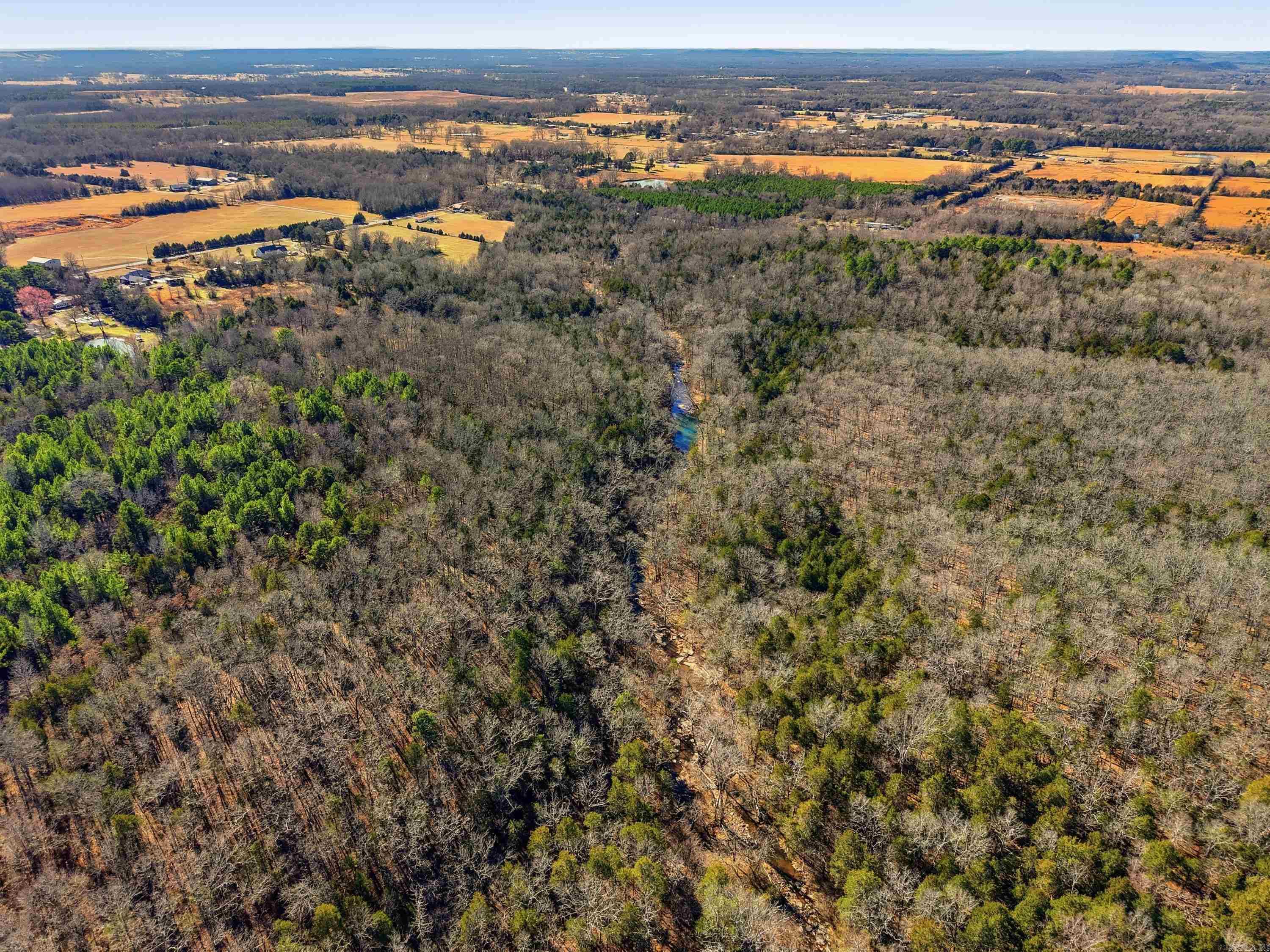 00 Manning  Mt. Vernon, AR