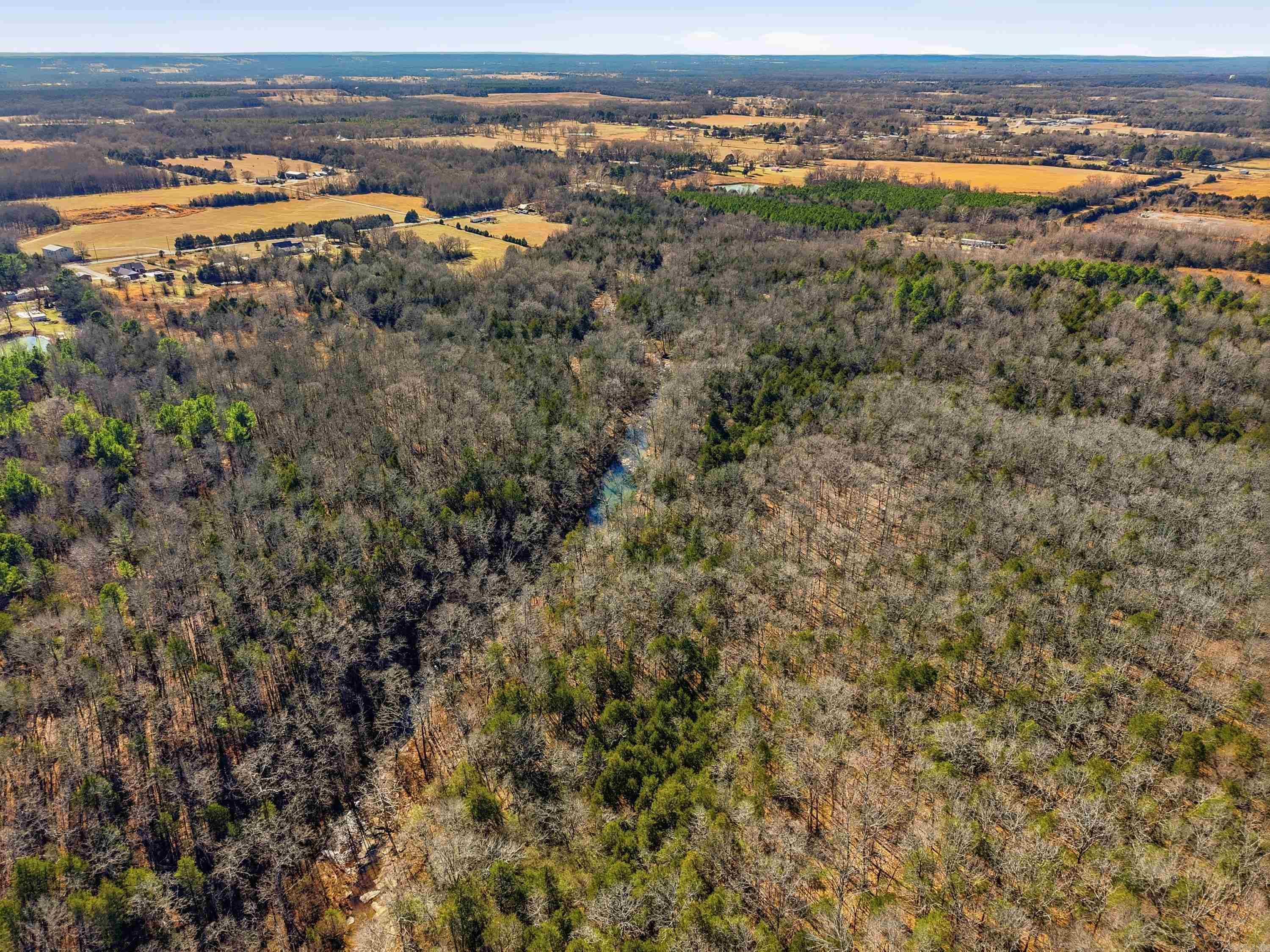 00 Manning  Mt. Vernon, AR