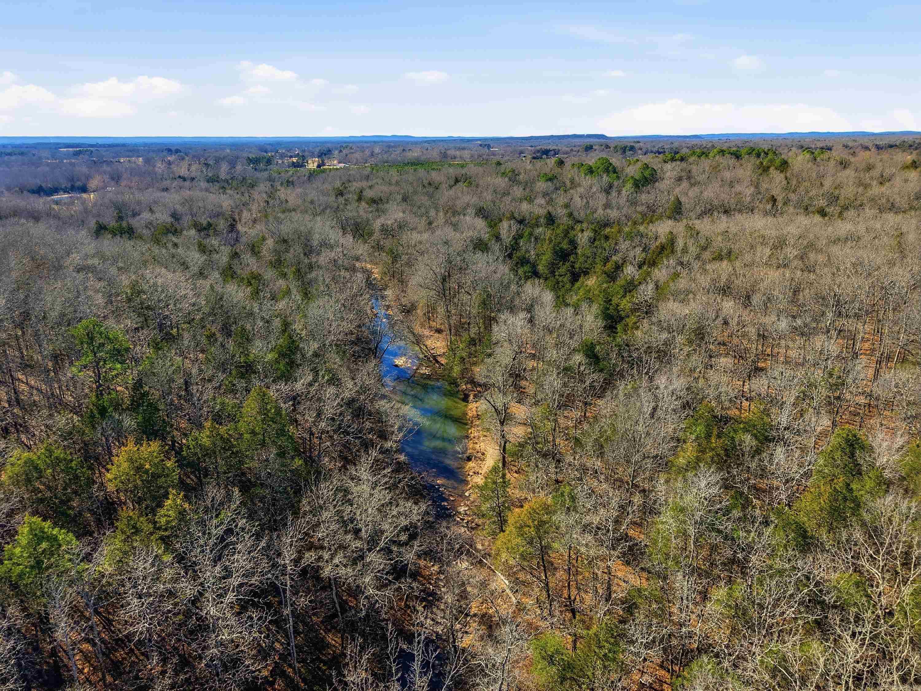 00 Manning  Mt. Vernon, AR