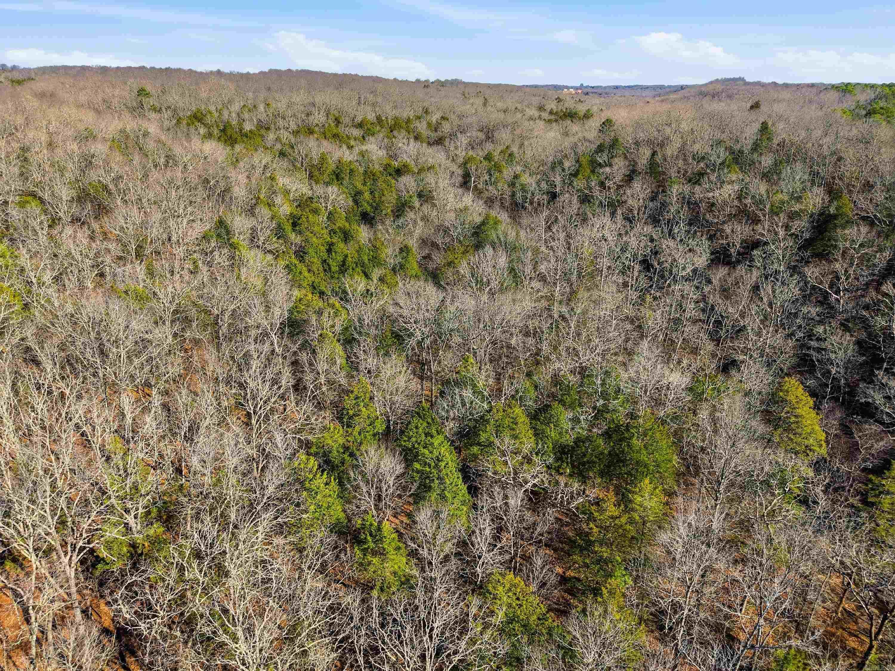 00 Manning  Mt. Vernon, AR