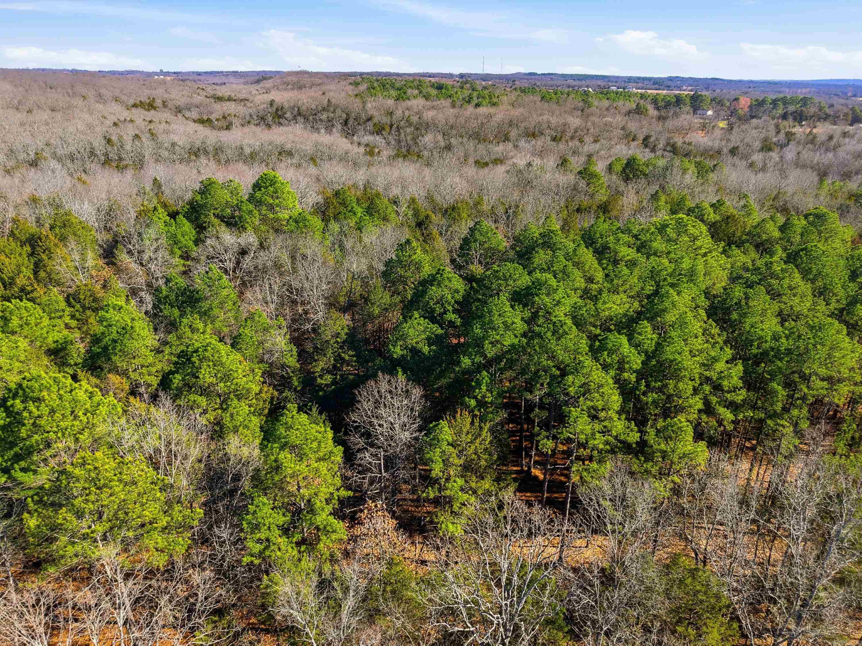 00 Manning  Mt. Vernon, AR