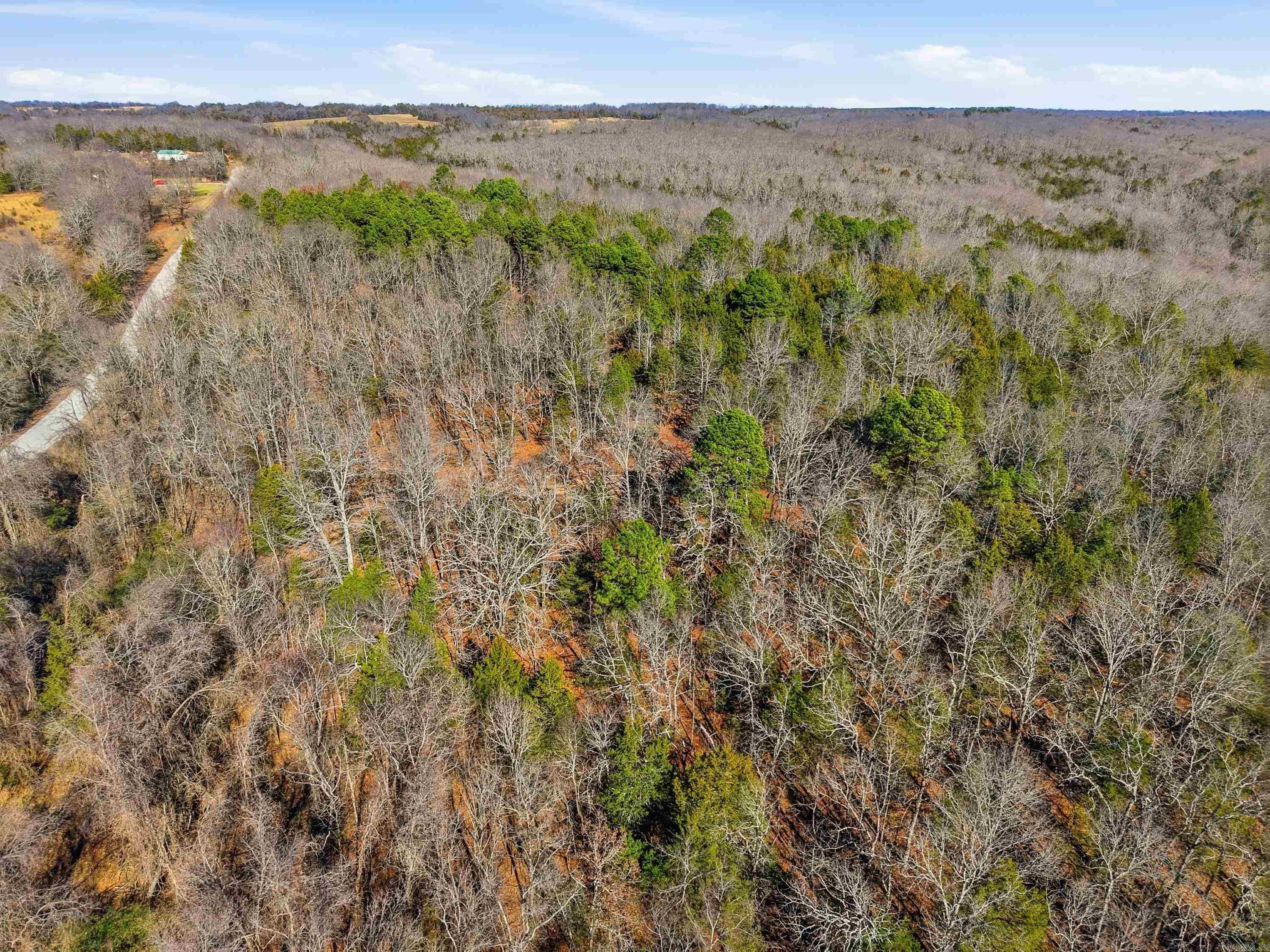 00 Manning  Mt. Vernon, AR