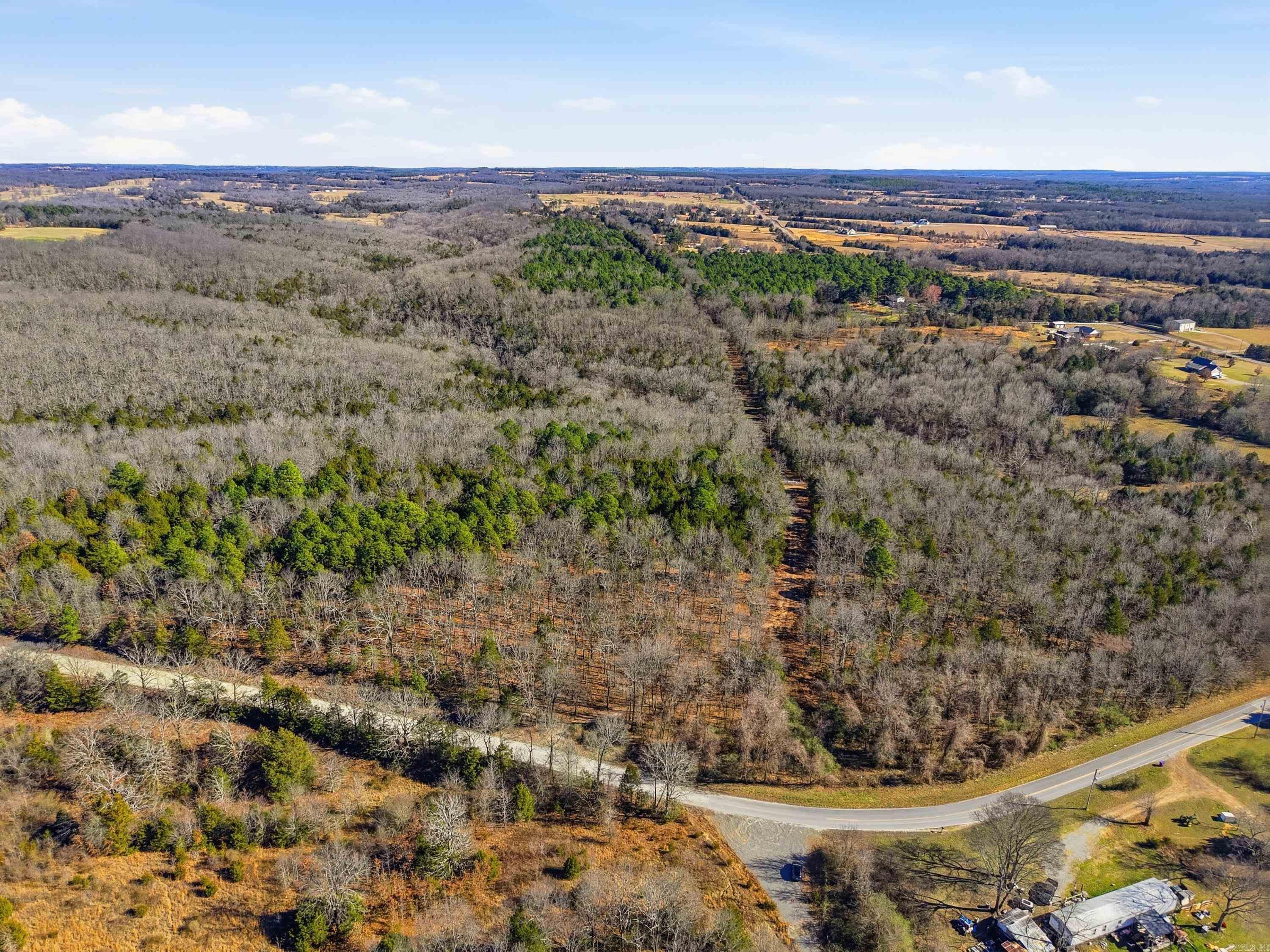 00 Manning  Mt. Vernon, AR