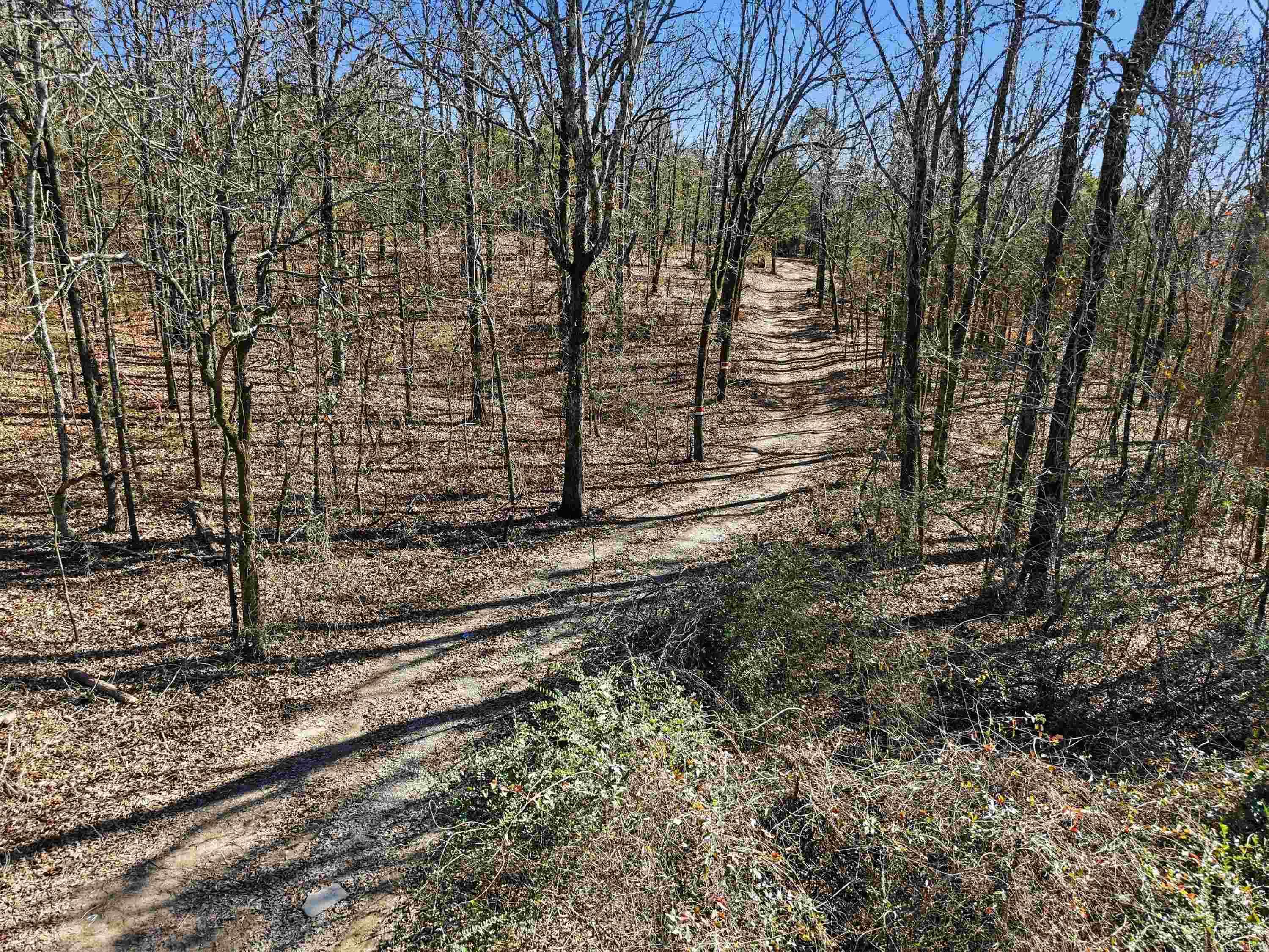 00 Manning  Mt. Vernon, AR