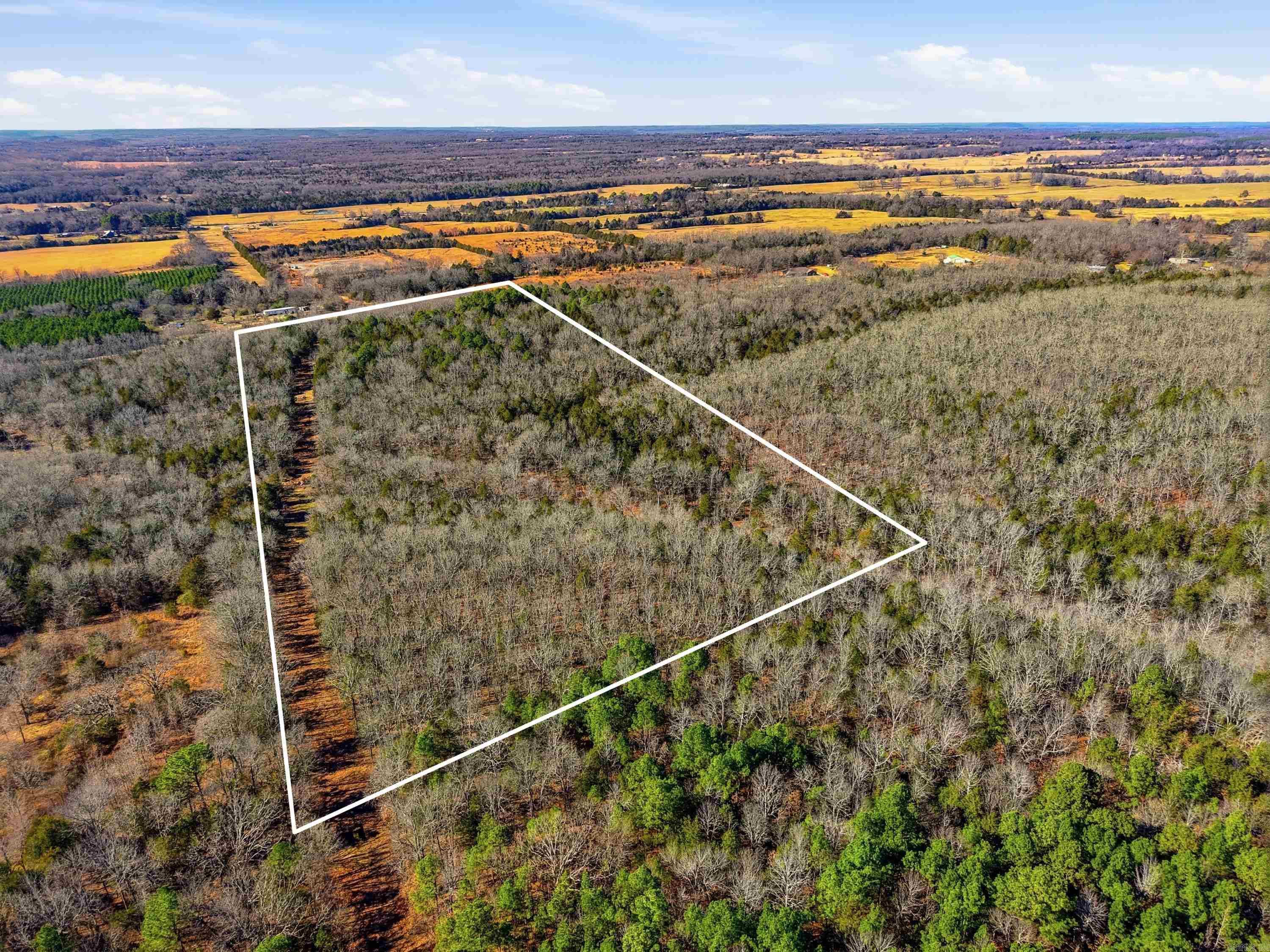 00 Manning  Mt. Vernon, AR