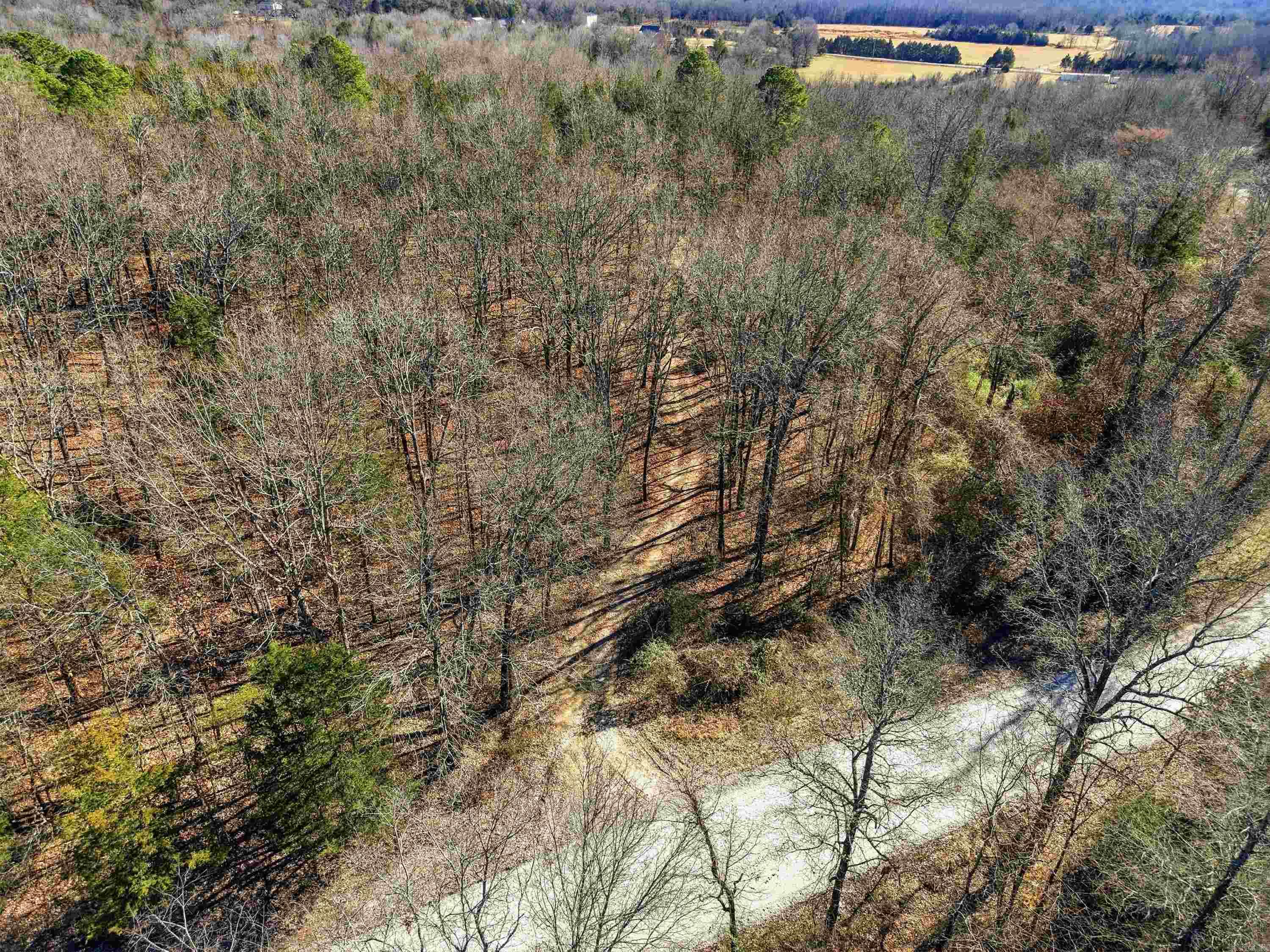 00 Manning  Mt. Vernon, AR