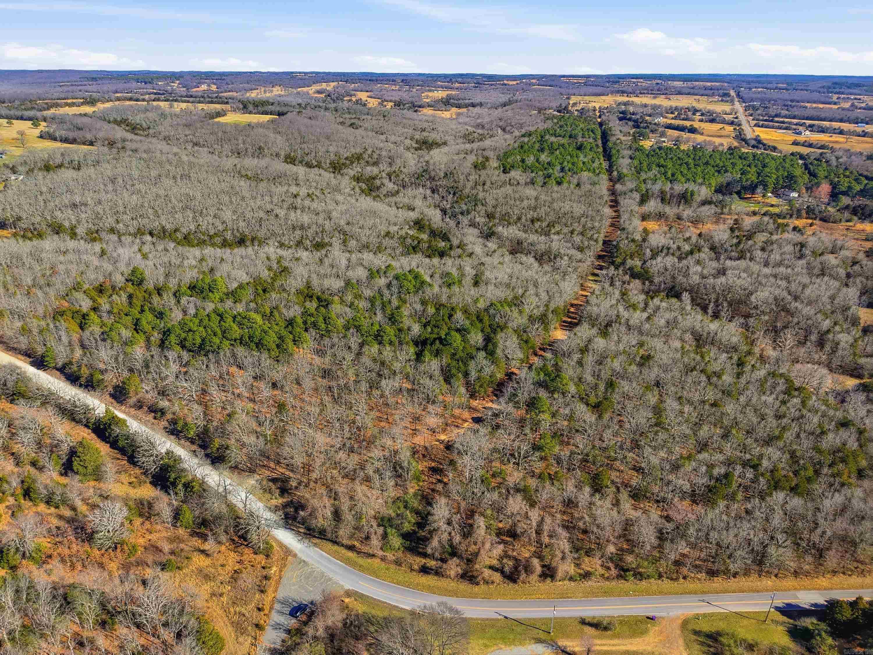 00 Manning  Mt. Vernon, AR